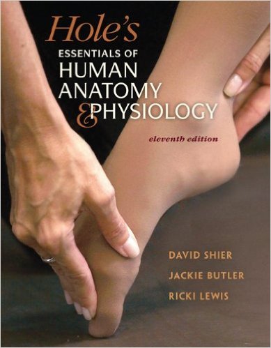 Hole's Essentials of Human Anatomy and Physiology 11th Edition David N. Shier, Jackie L. Butler, Ricki Lewis