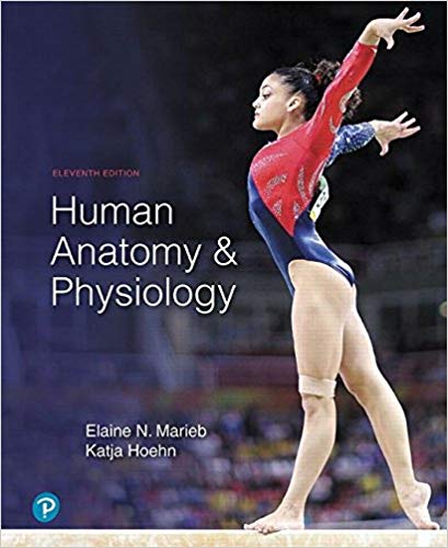 Human Anatomy and Physiology, Student Edition 11th Edition Elaine Nicpon Marieb, Katja Hoehn