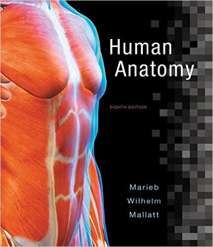 Human Anatomy 9th Edition Elaine Marieb, Jon B. Mallatt, Patricia Brady Wilhelm