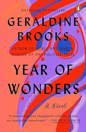 Year of Wonders Geraldine Brooks