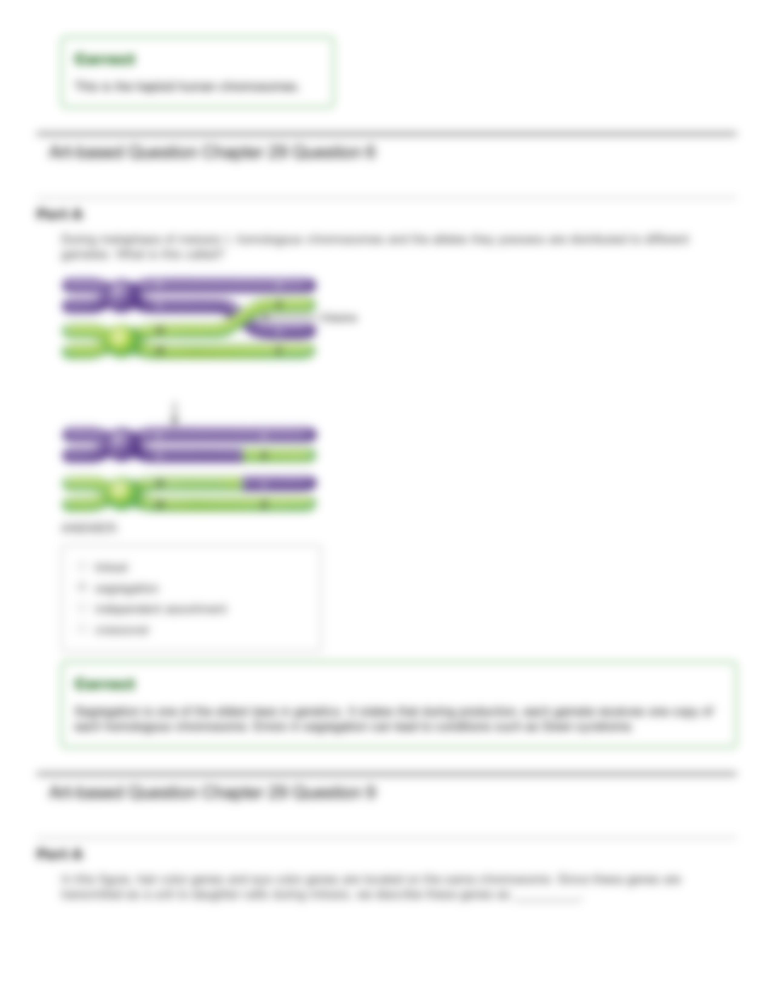 Ch 29_ Heredity_ Review Questions_d08i53l9g5r_page3