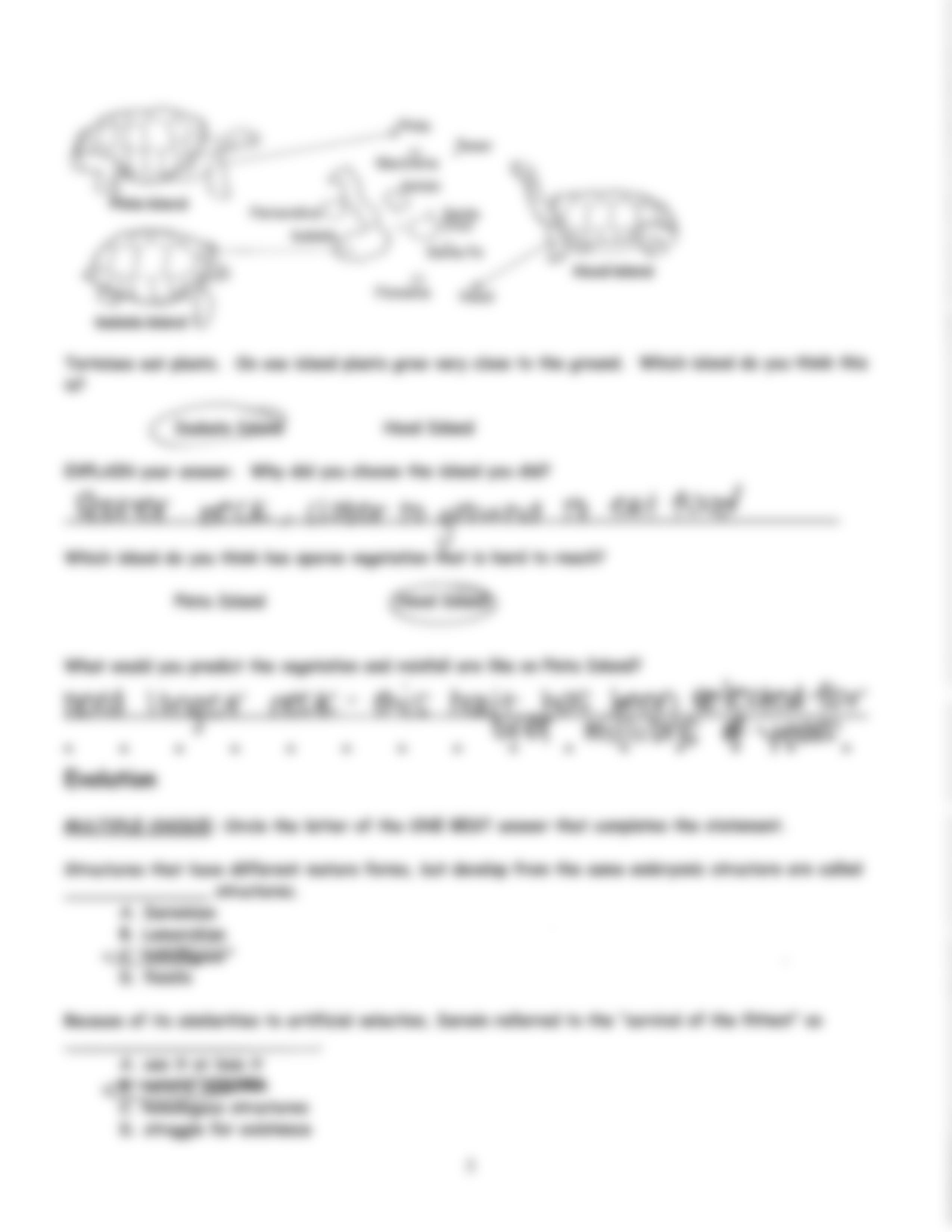 Biology Protists Kingdoms Test.pdf_d0cf4unek92_page5