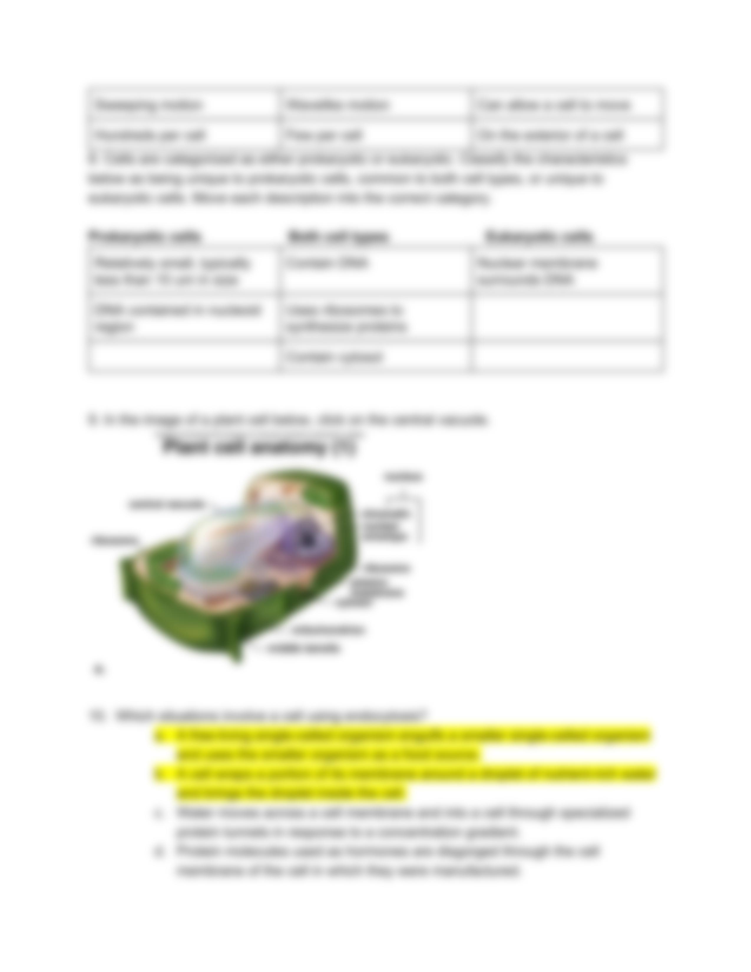 cell bio exam #2.pdf_d0f4l55eu9n_page3