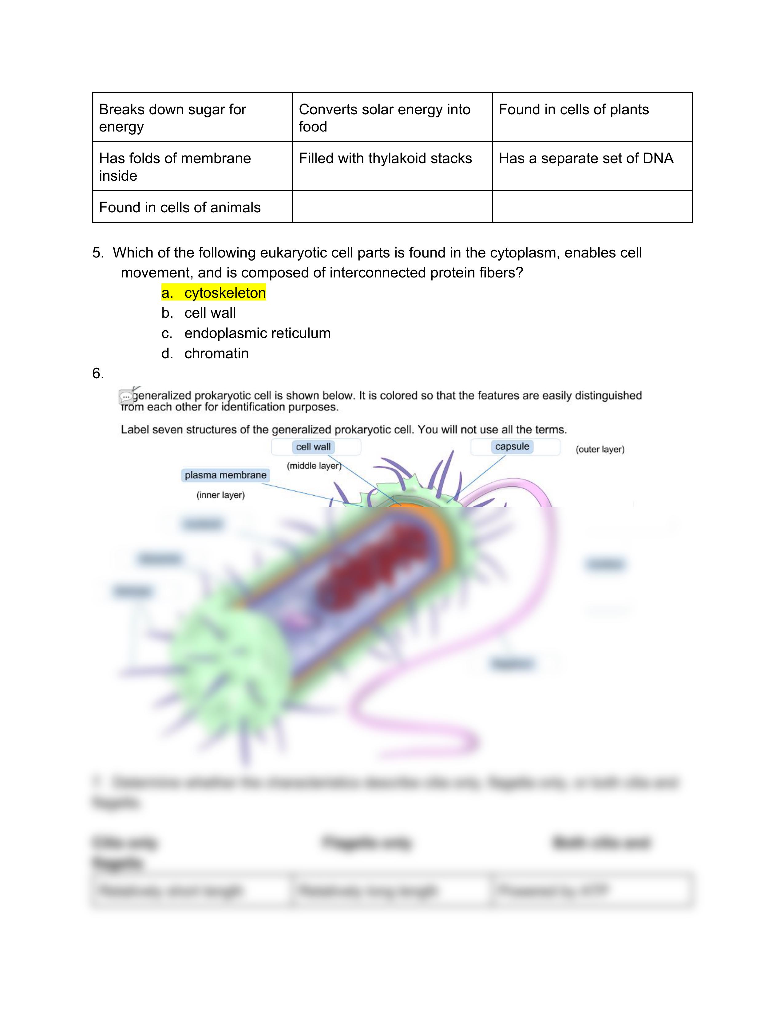 cell bio exam #2.pdf_d0f4l55eu9n_page2