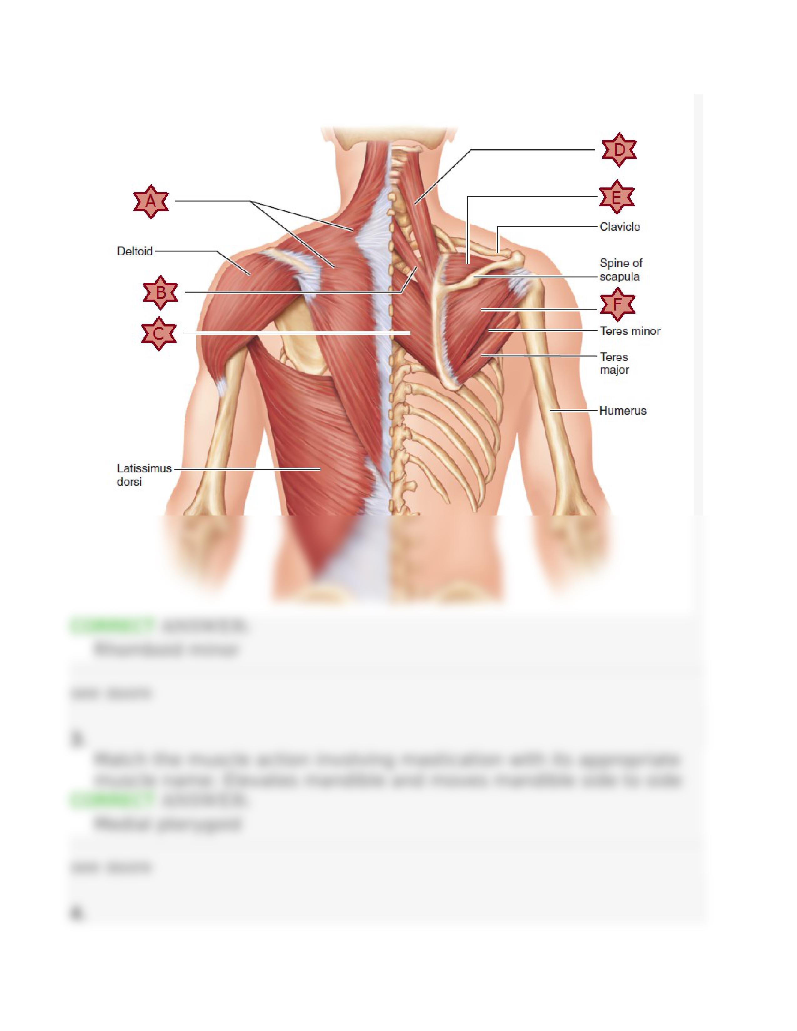 Ch. 10 Module 3 Section 10.05 Dynamic Study Module.docx_d0msu84glqu_page2