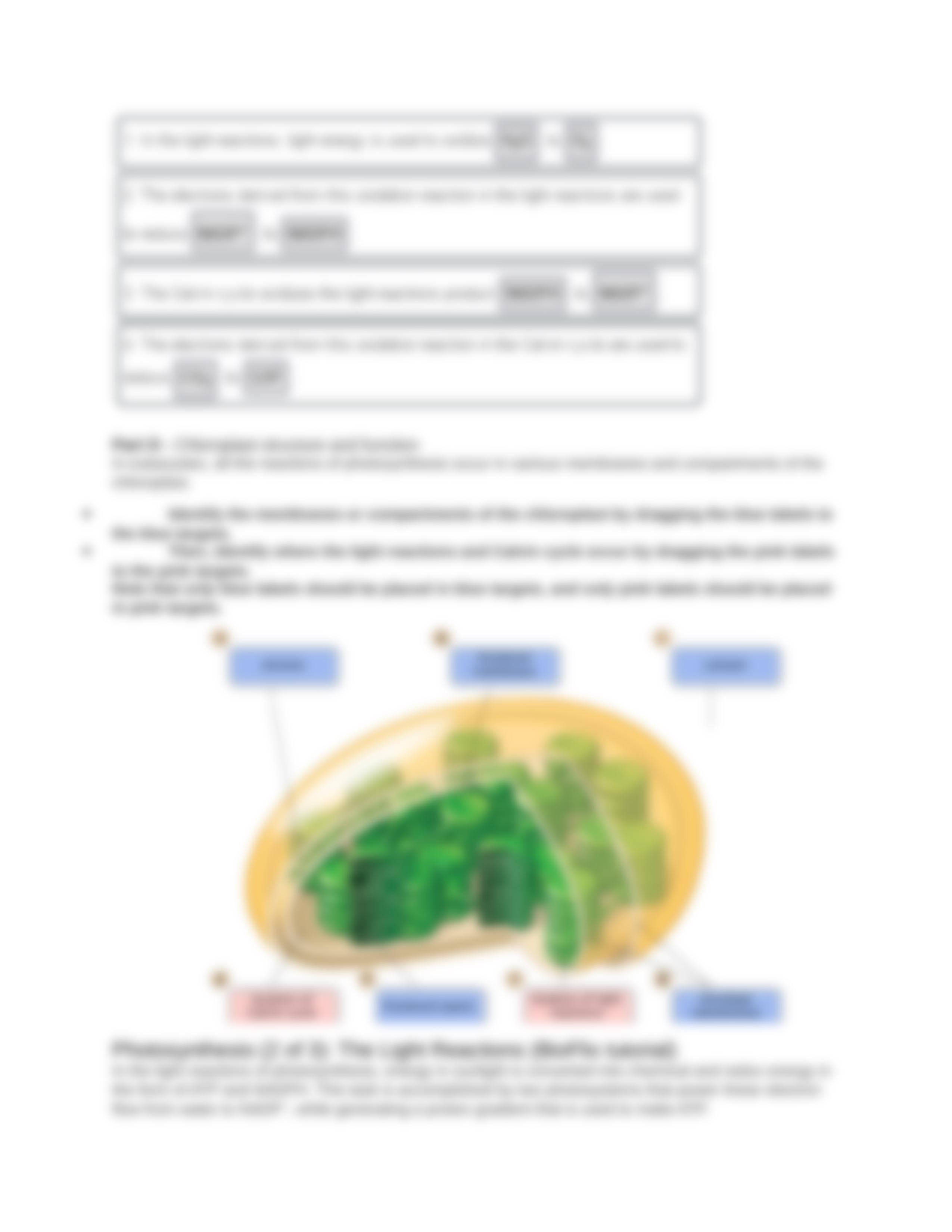 Chapter 10 Homework_d0qmyqlkuz2_page3