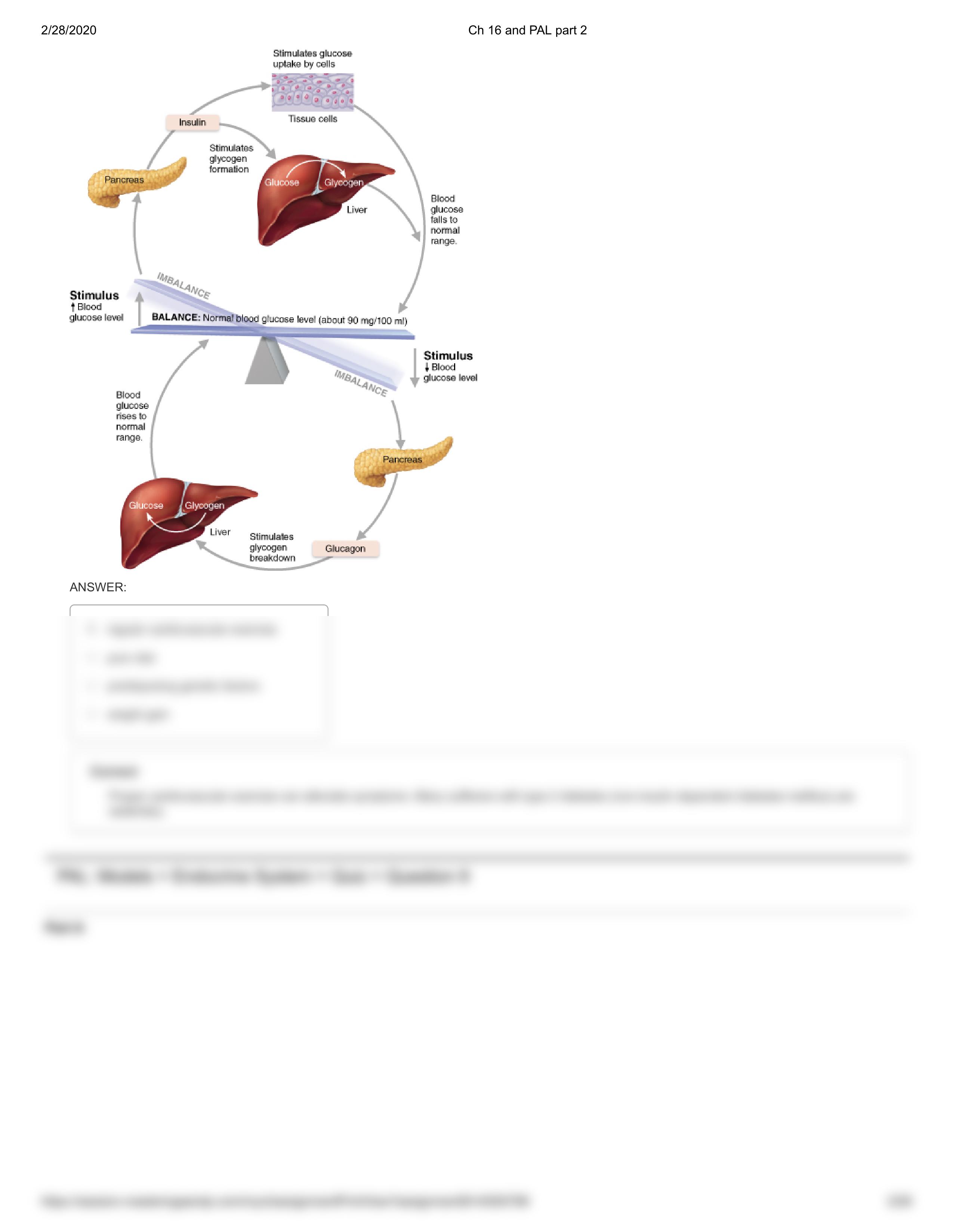 Ch 16 and PAL part 2.pdf_d0tdmdpo123_page2