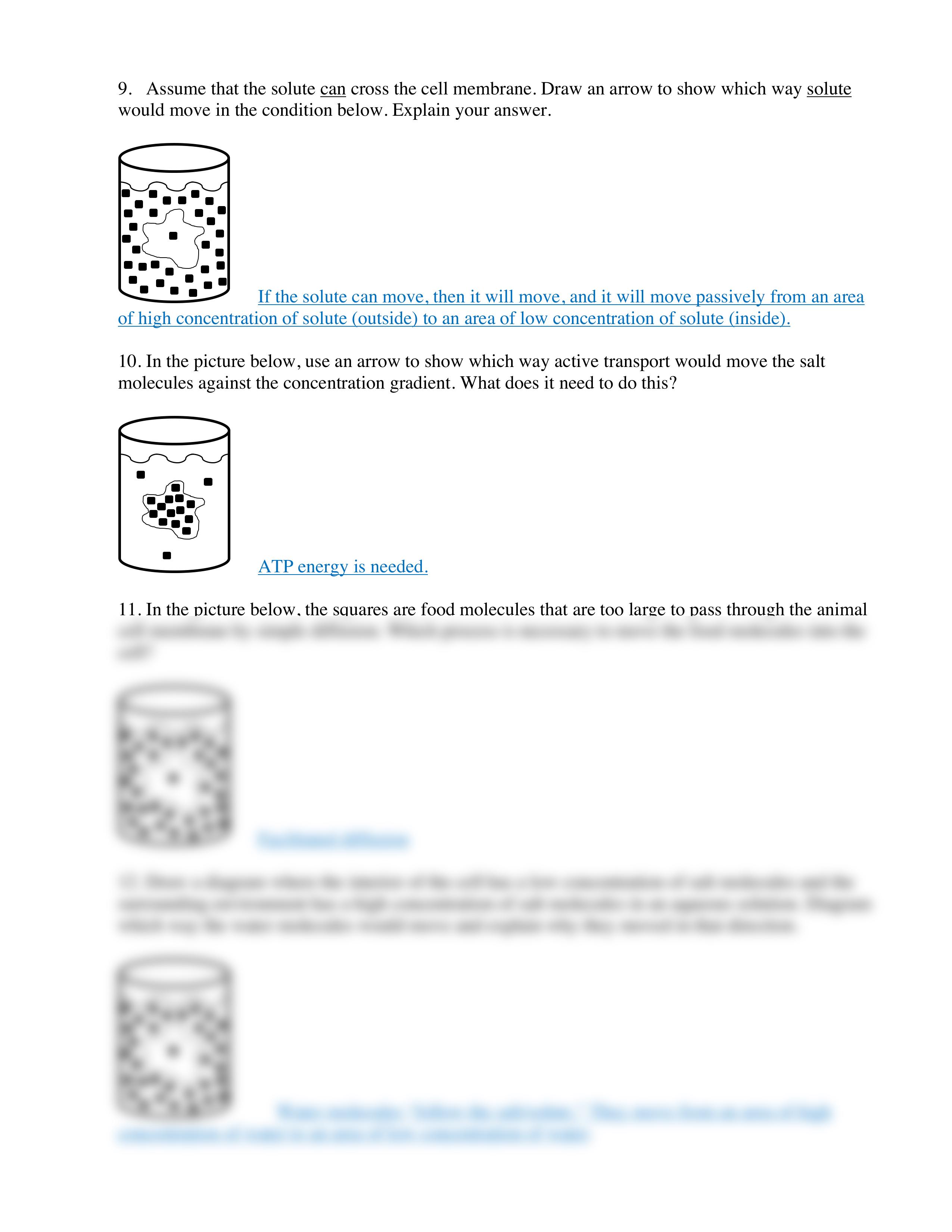 Diffusion - Osmosis - Active Transport Worksheet - Answer Key.pdf_d0z7vlm1a8e_page2