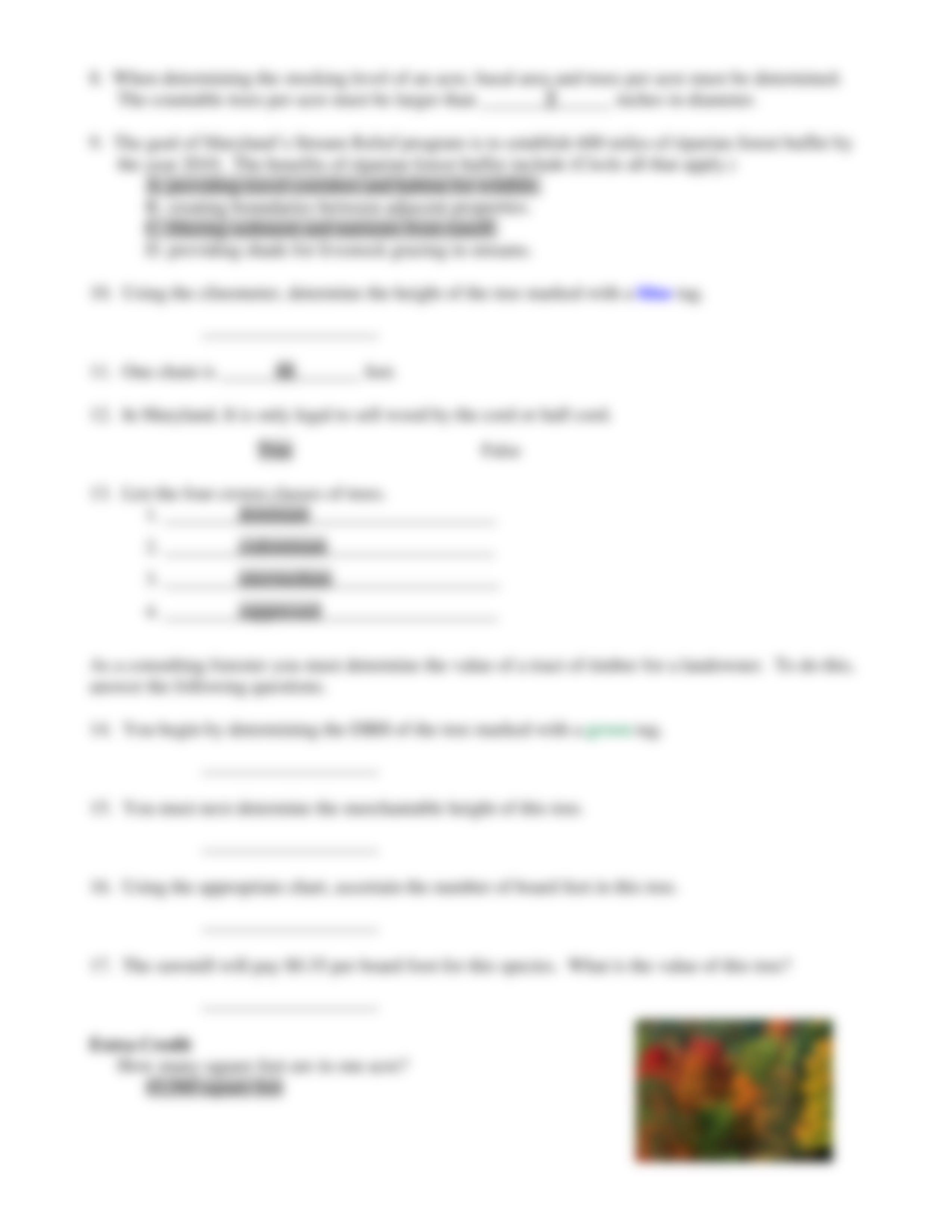 Forestry 111 Practice Test_d10knidshe5_page2