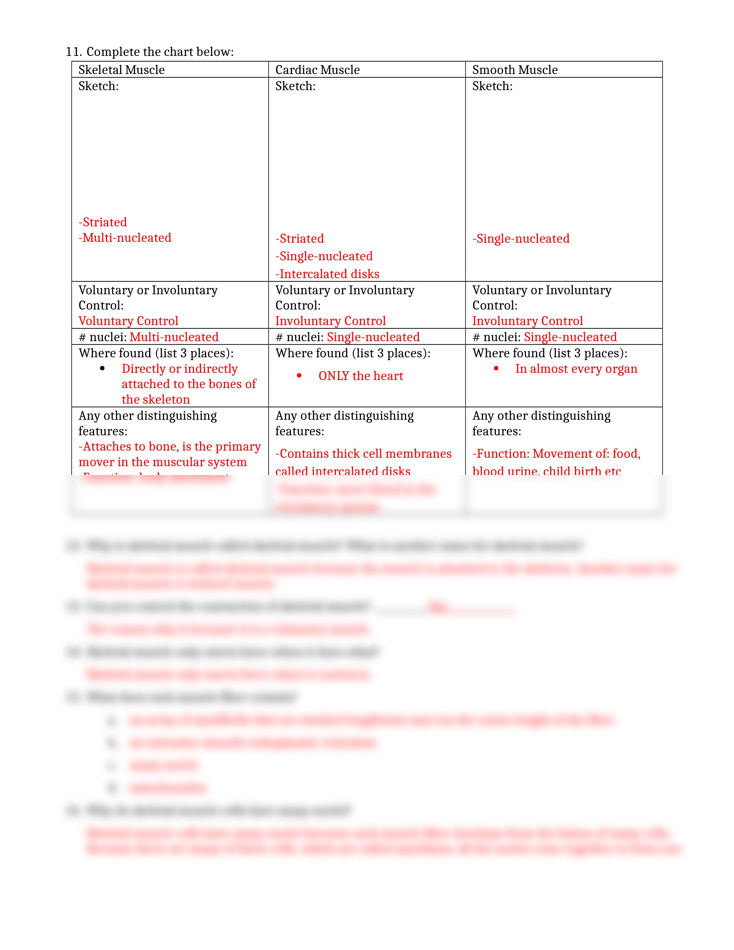 Muscular System Webquest.docx_d11hpie394s_page2