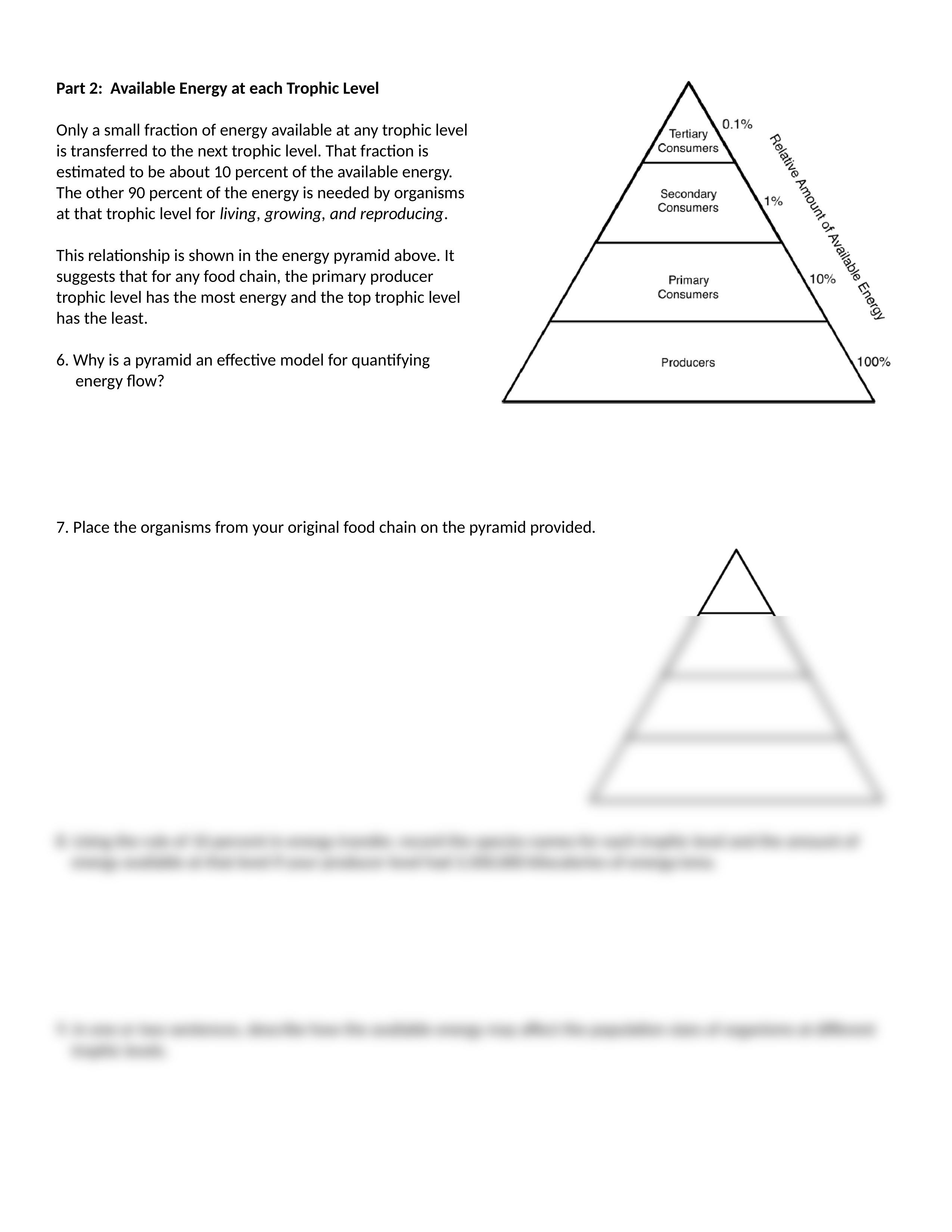 Lion Building Food Chains and Webs 2020.docx_d13qpgivqjf_page2