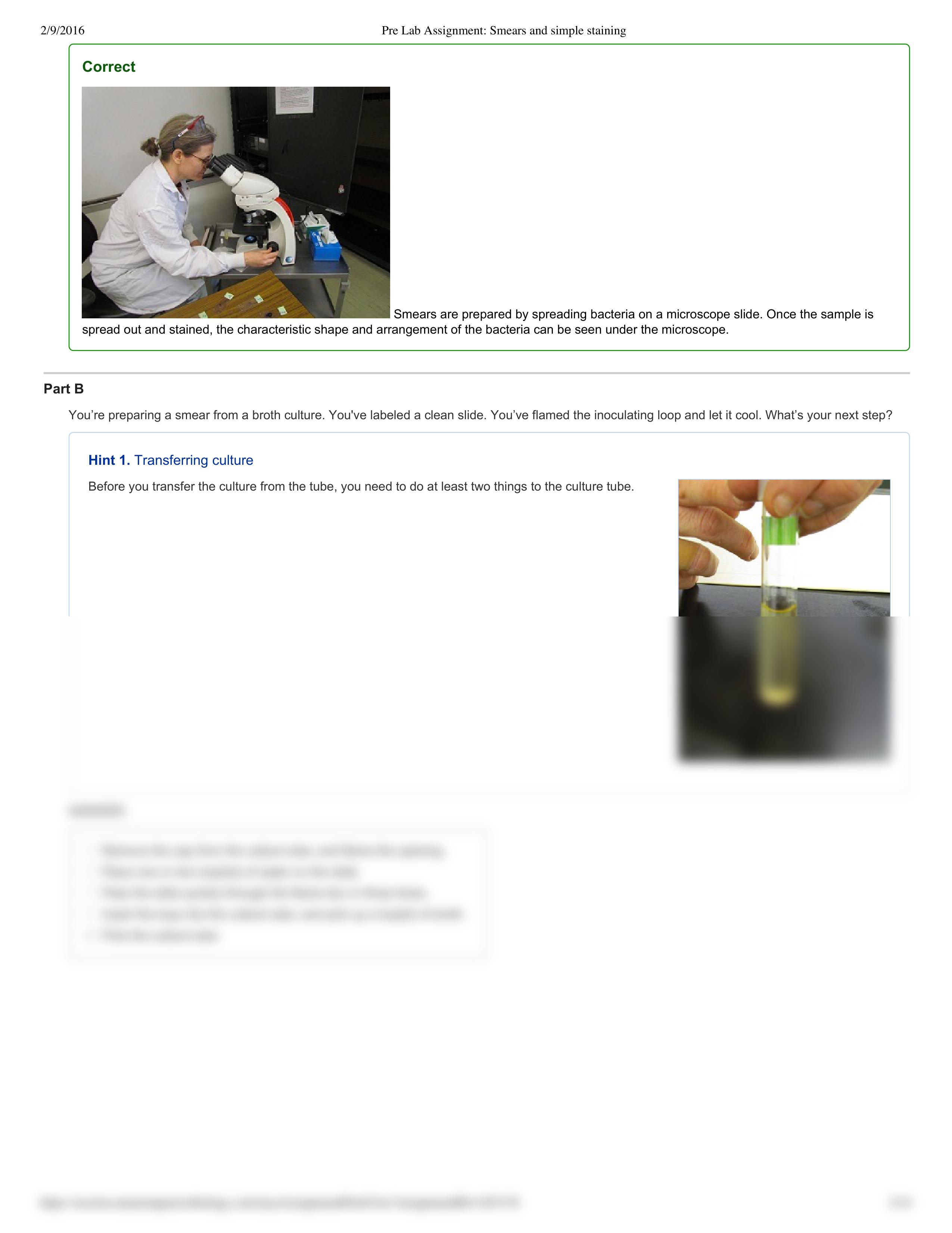 Pre Lab Assignment_ Smears and simple staining_d1a4ovpxpay_page2