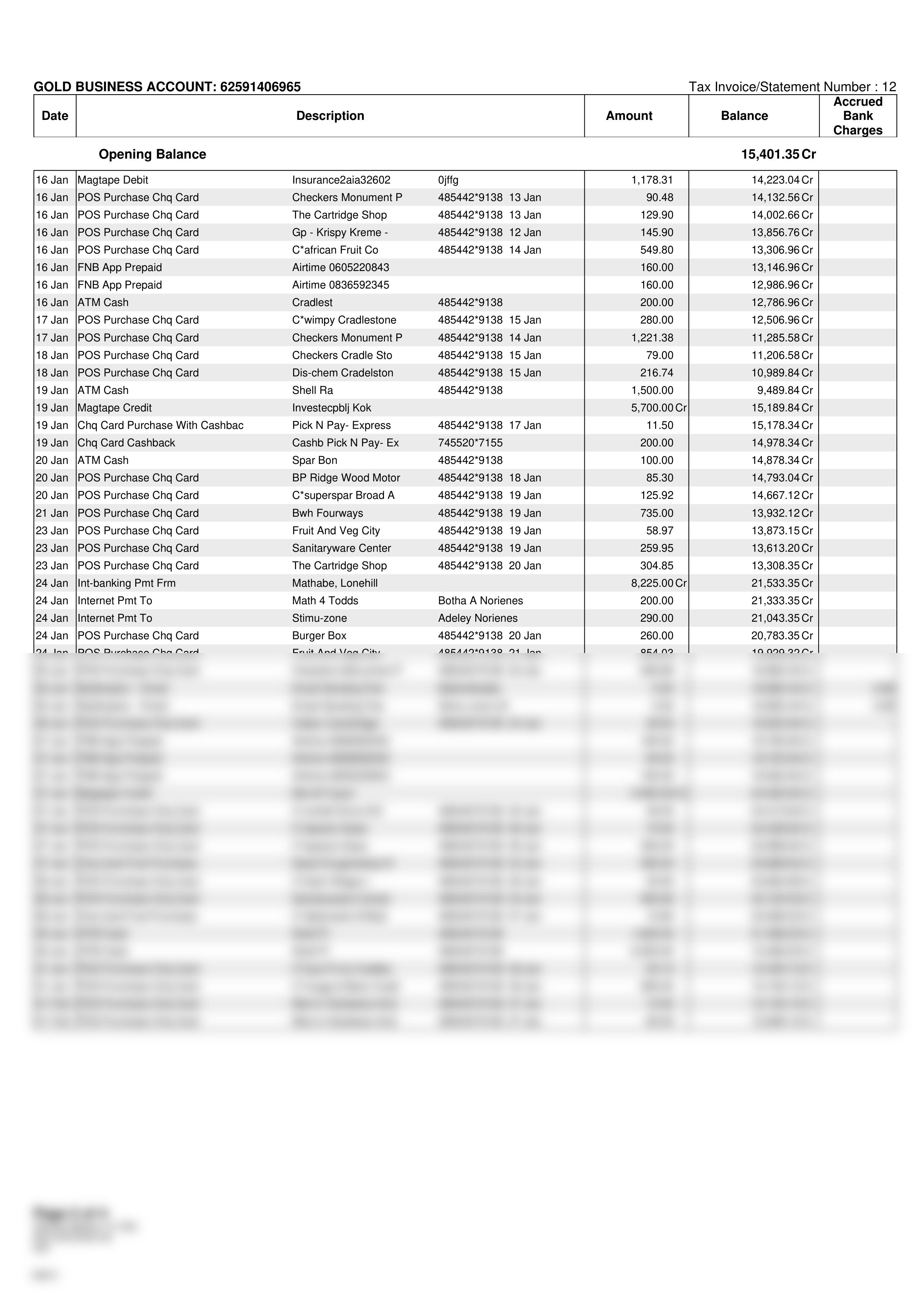 FNB-FEBRUARY-BANK-STATEMENT (1)_17_12_2020_13_49_d1bg0rckxz3_page2