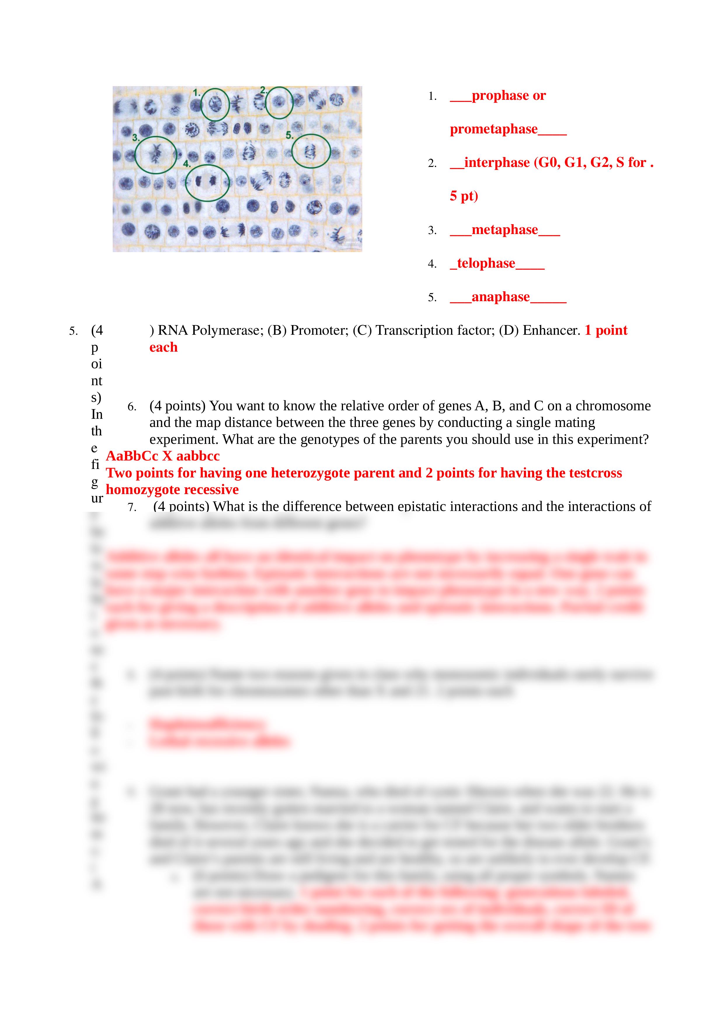 BICD 100 Final Short Answer SSI13 KEY_d1db2qgk1rr_page2