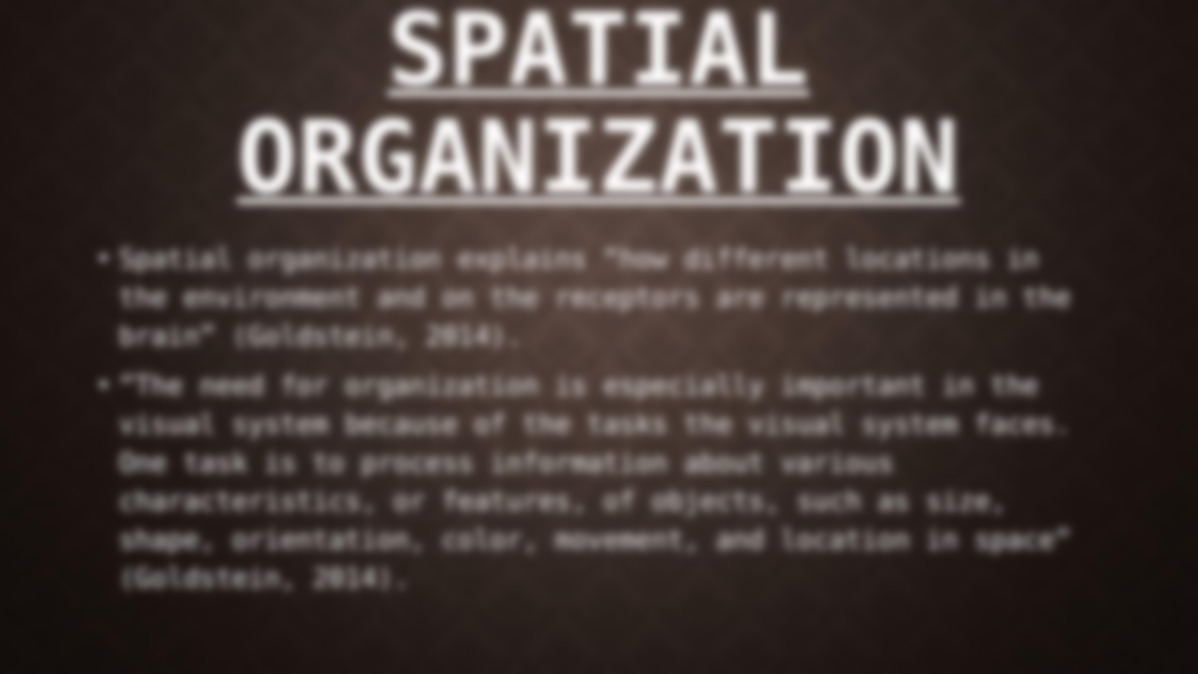 Spatial Organization PP_d1kwrk72z3d_page3