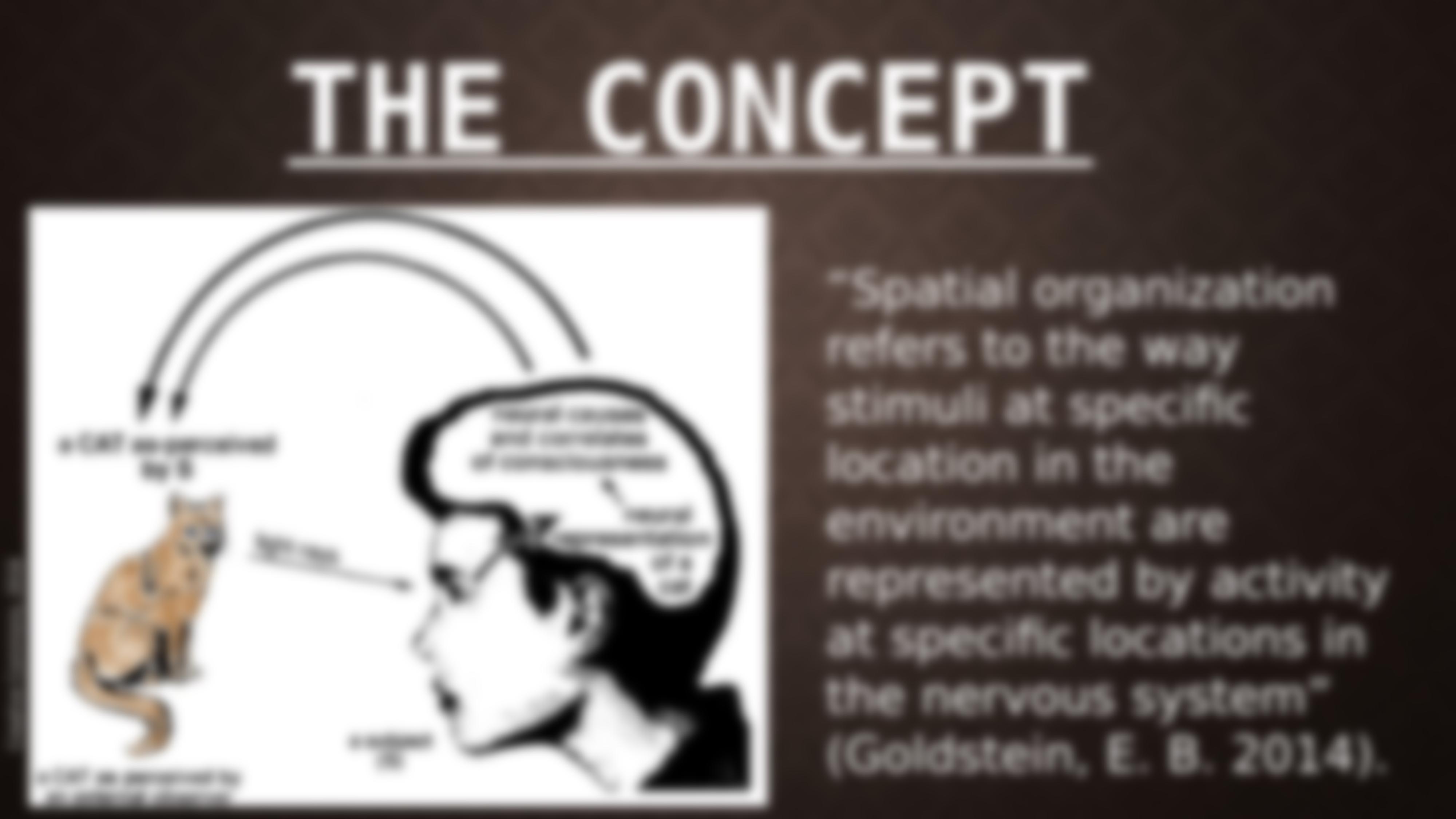 Spatial Organization PP_d1kwrk72z3d_page4