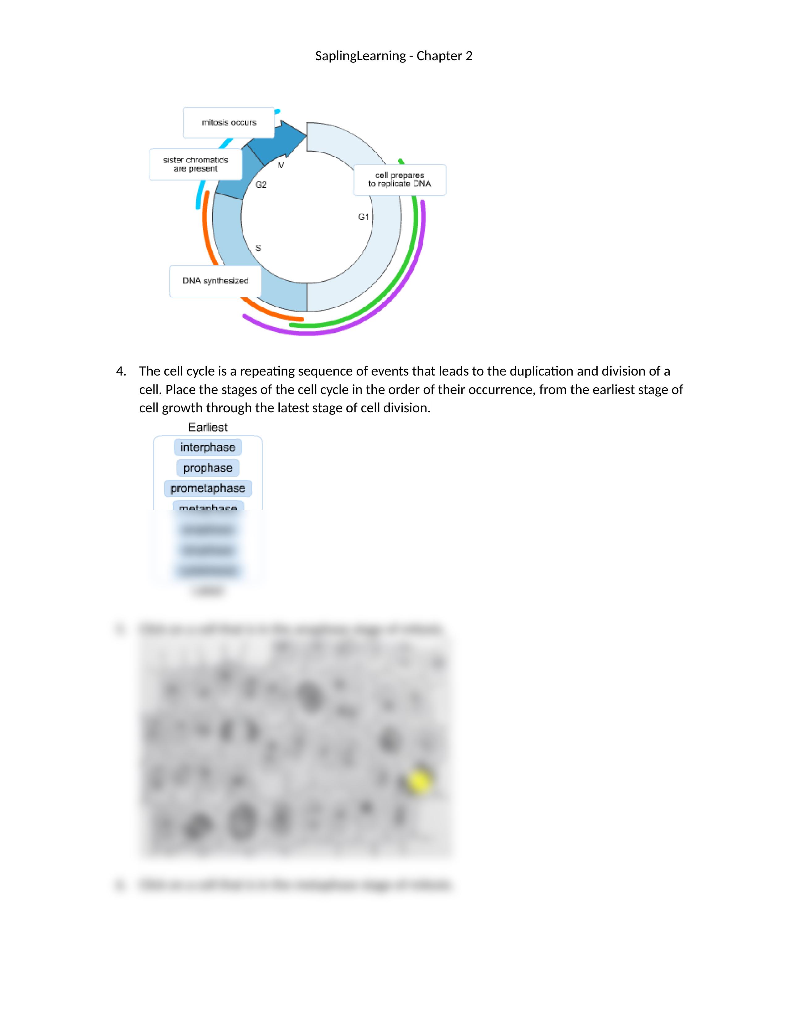 SaplingLearning Chapter 2_d1p6rclvm7d_page2