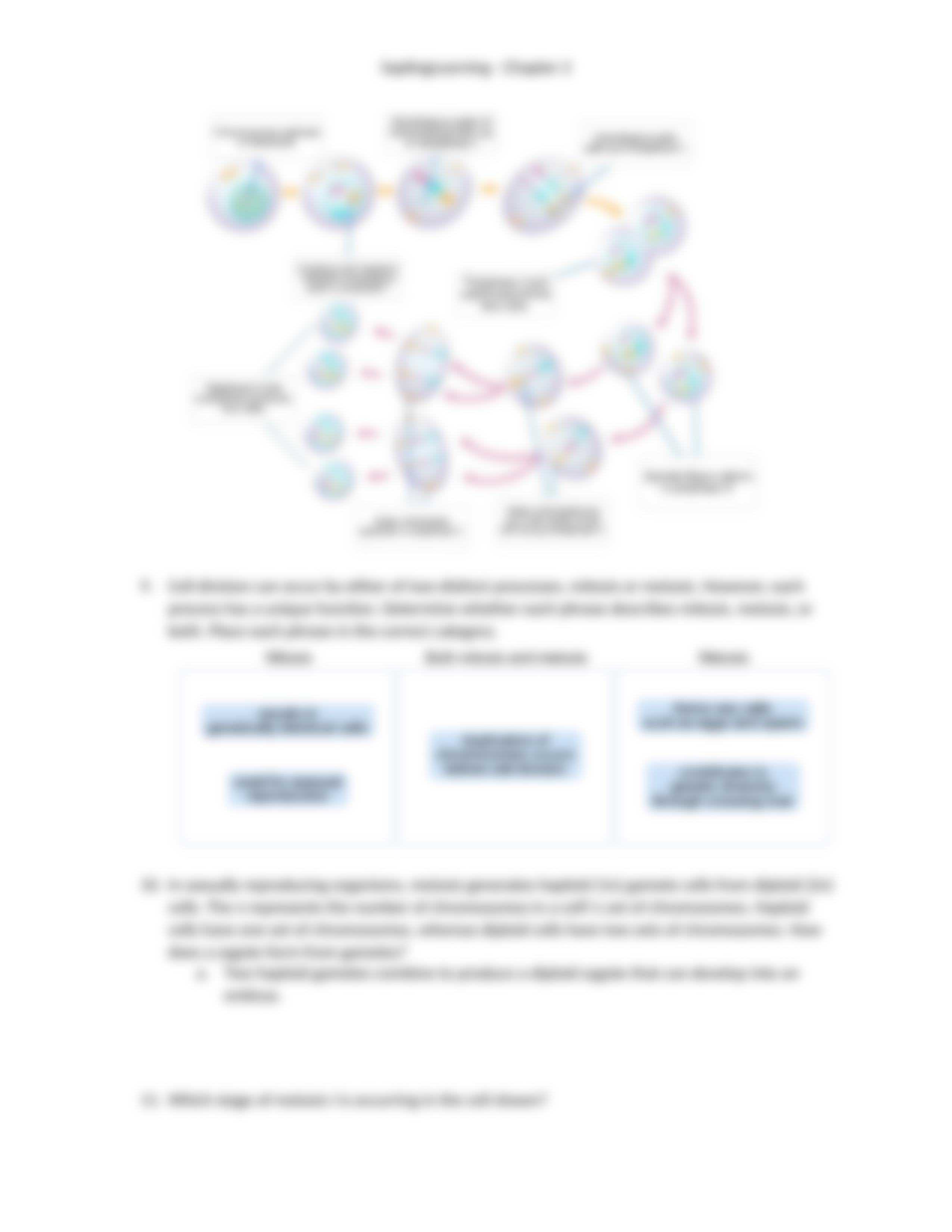 SaplingLearning Chapter 2_d1p6rclvm7d_page4