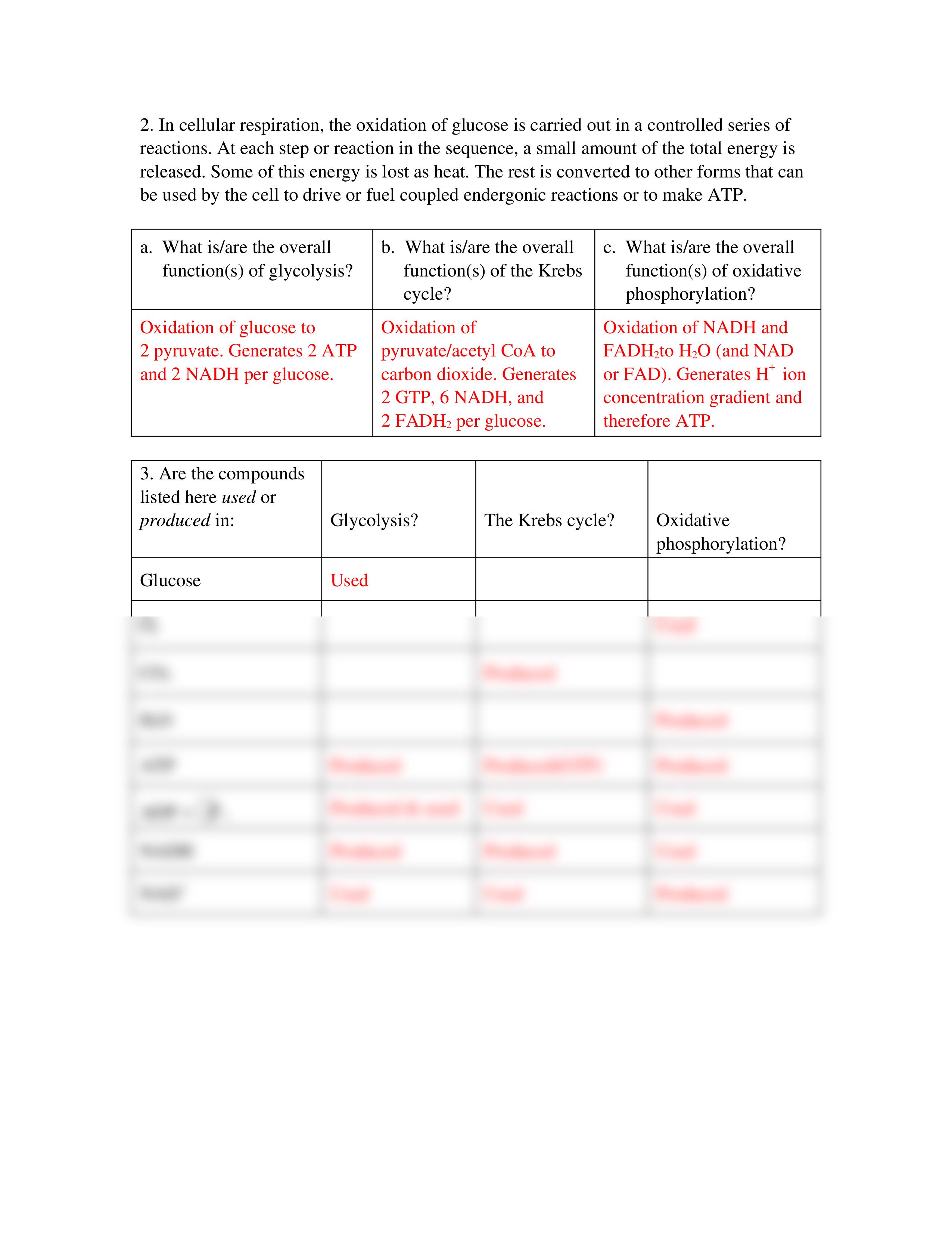 Cellular Respiration Activity 9 key_d1r989p0fux_page2