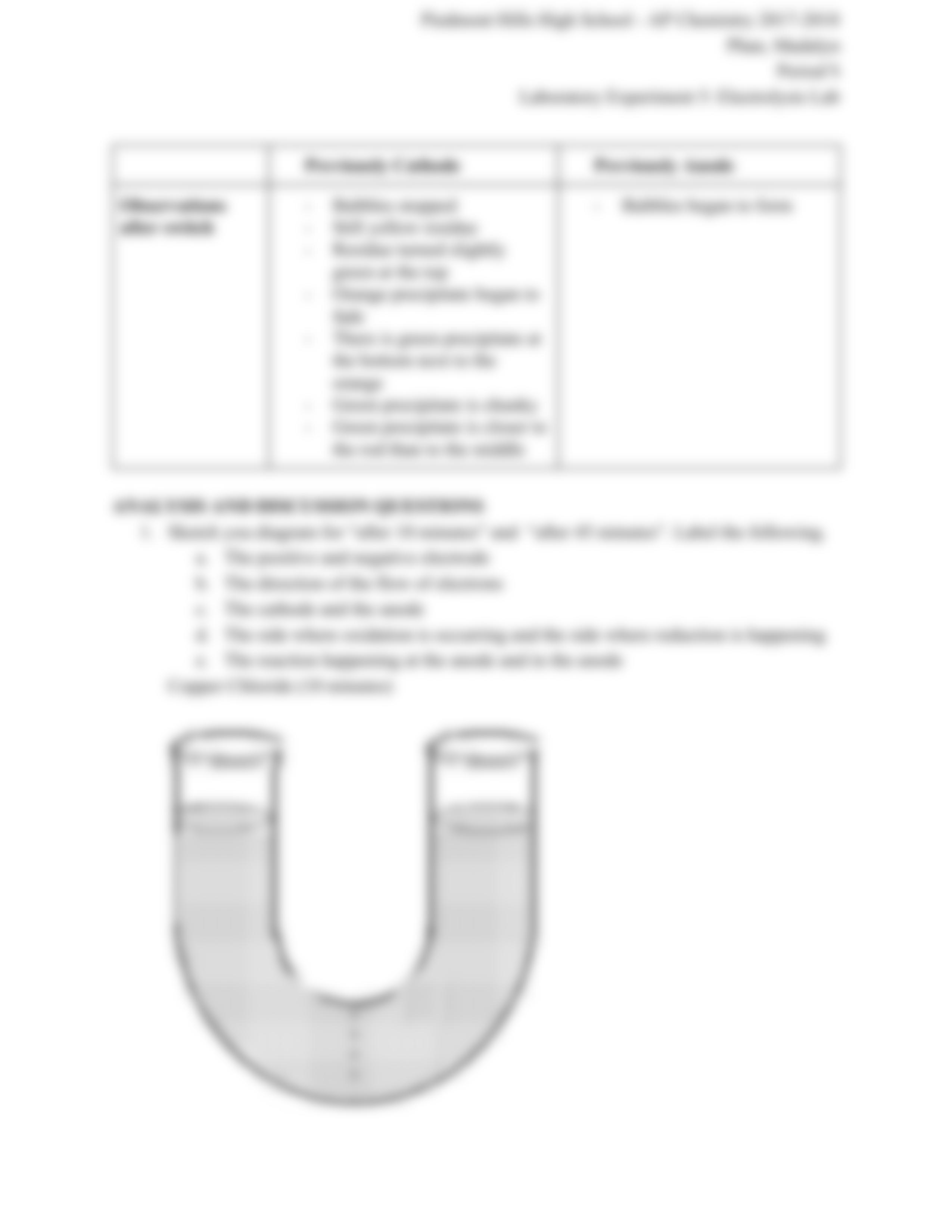 Electrolysis Lab (me).pdf_d1rfd7p0mw4_page5