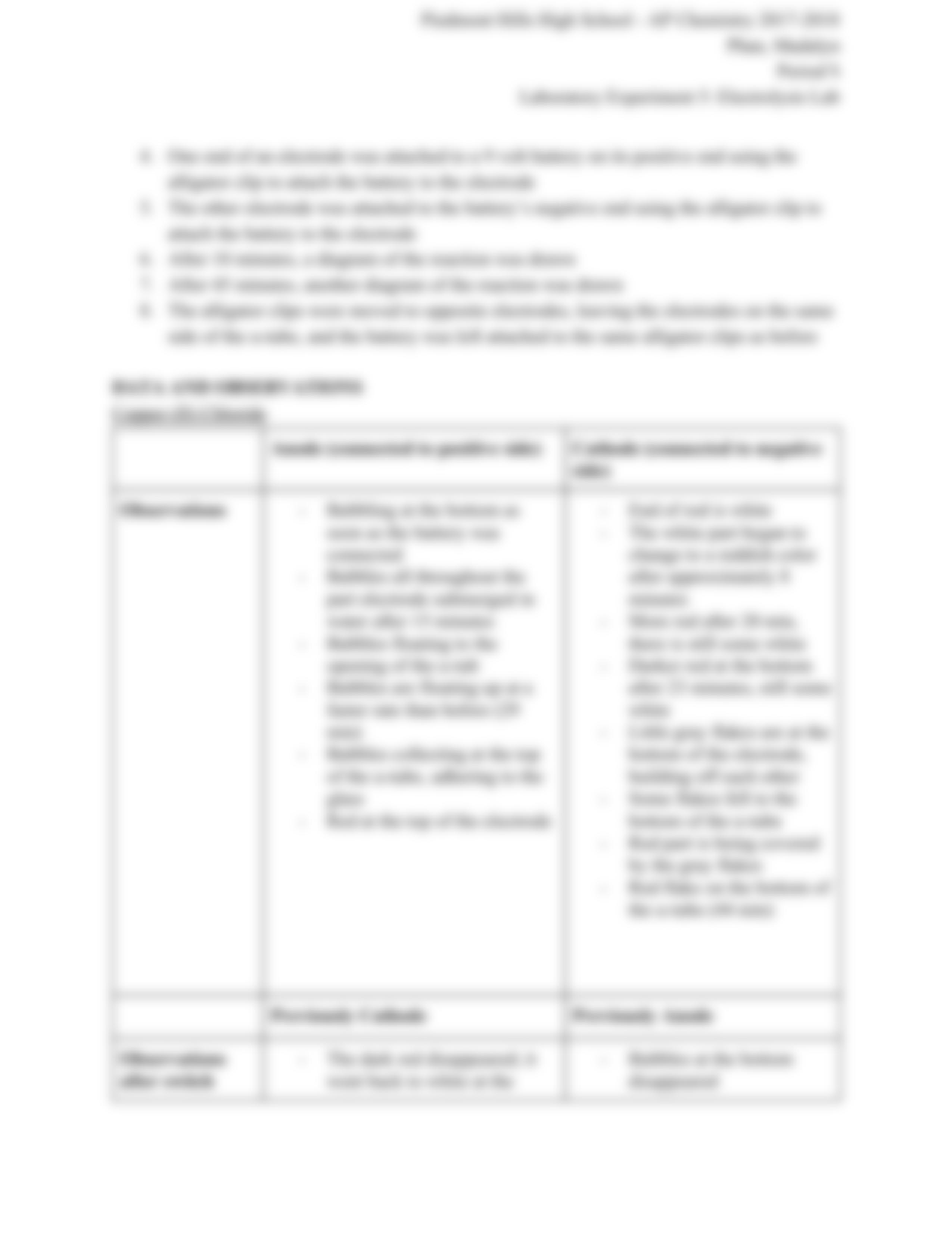 Electrolysis Lab (me).pdf_d1rfd7p0mw4_page3