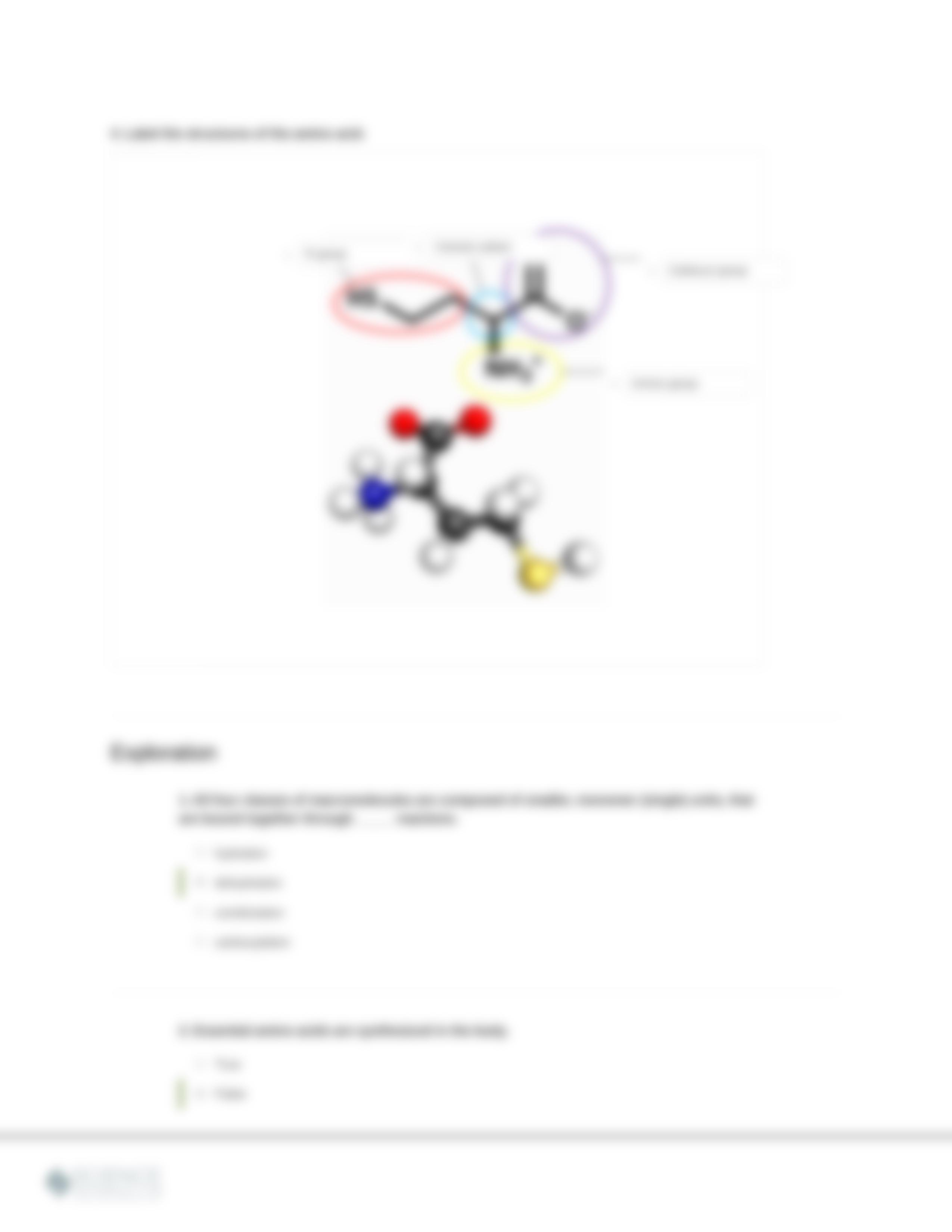 Chemistry_MacromoleculesofLifeAminoAcids_140920.pdf_d1slahhlyk7_page3