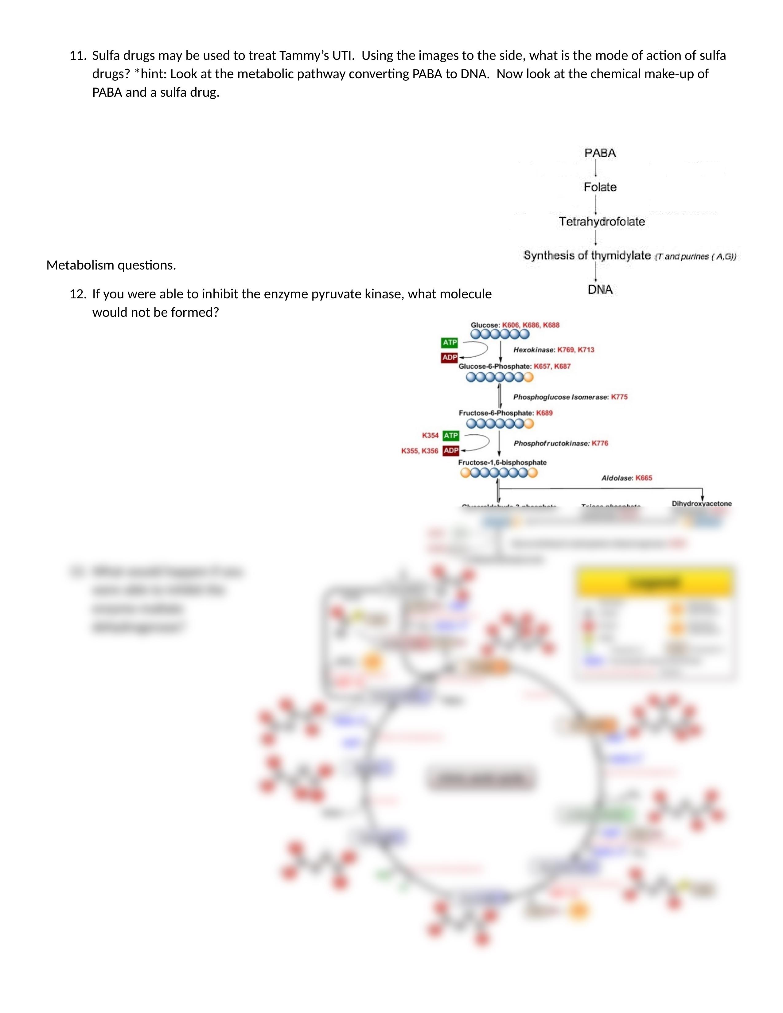 Metabolism case study-2.docx_d1z6iix8zln_page2