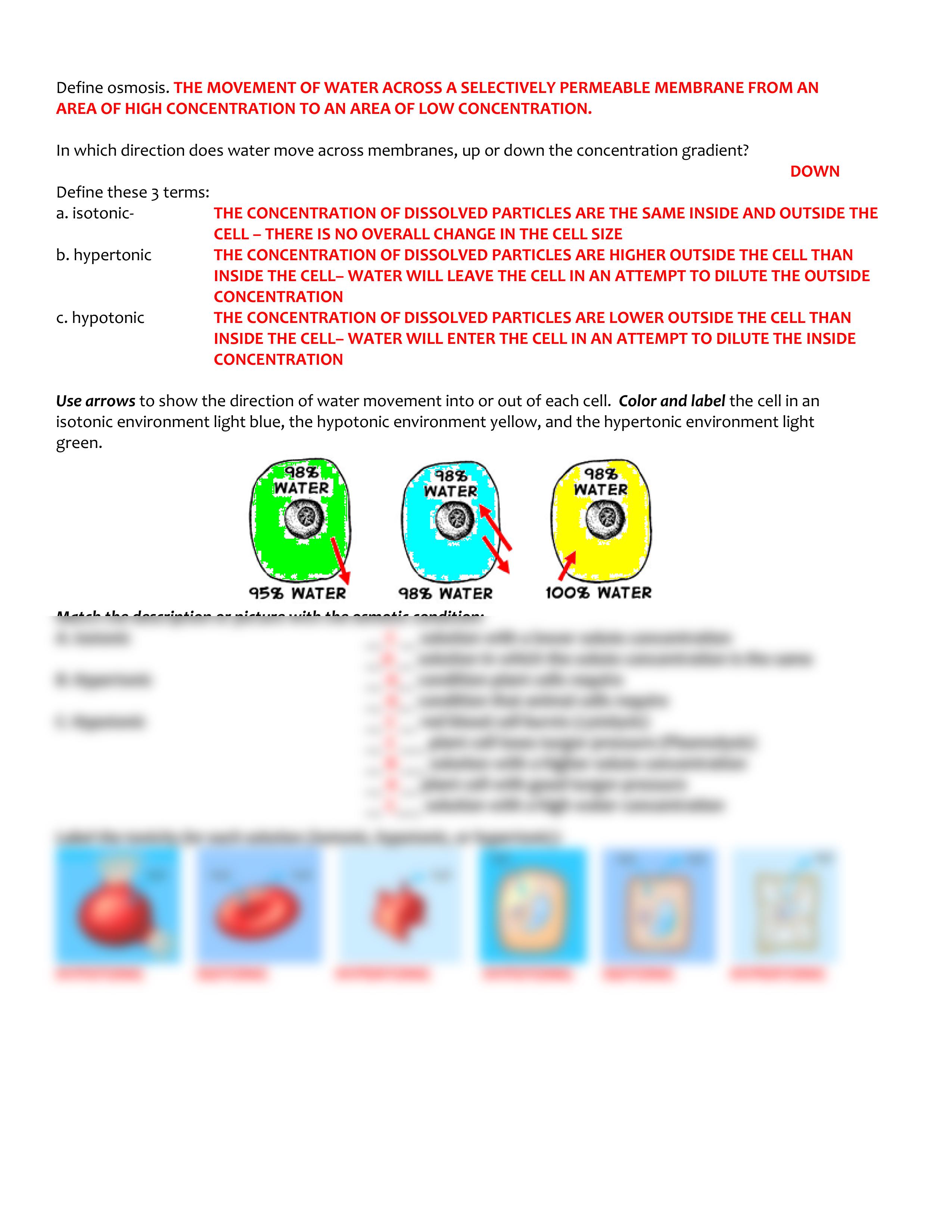 KEY cell membrane and tonicity worksheet_d1zhwcnbwrm_page2