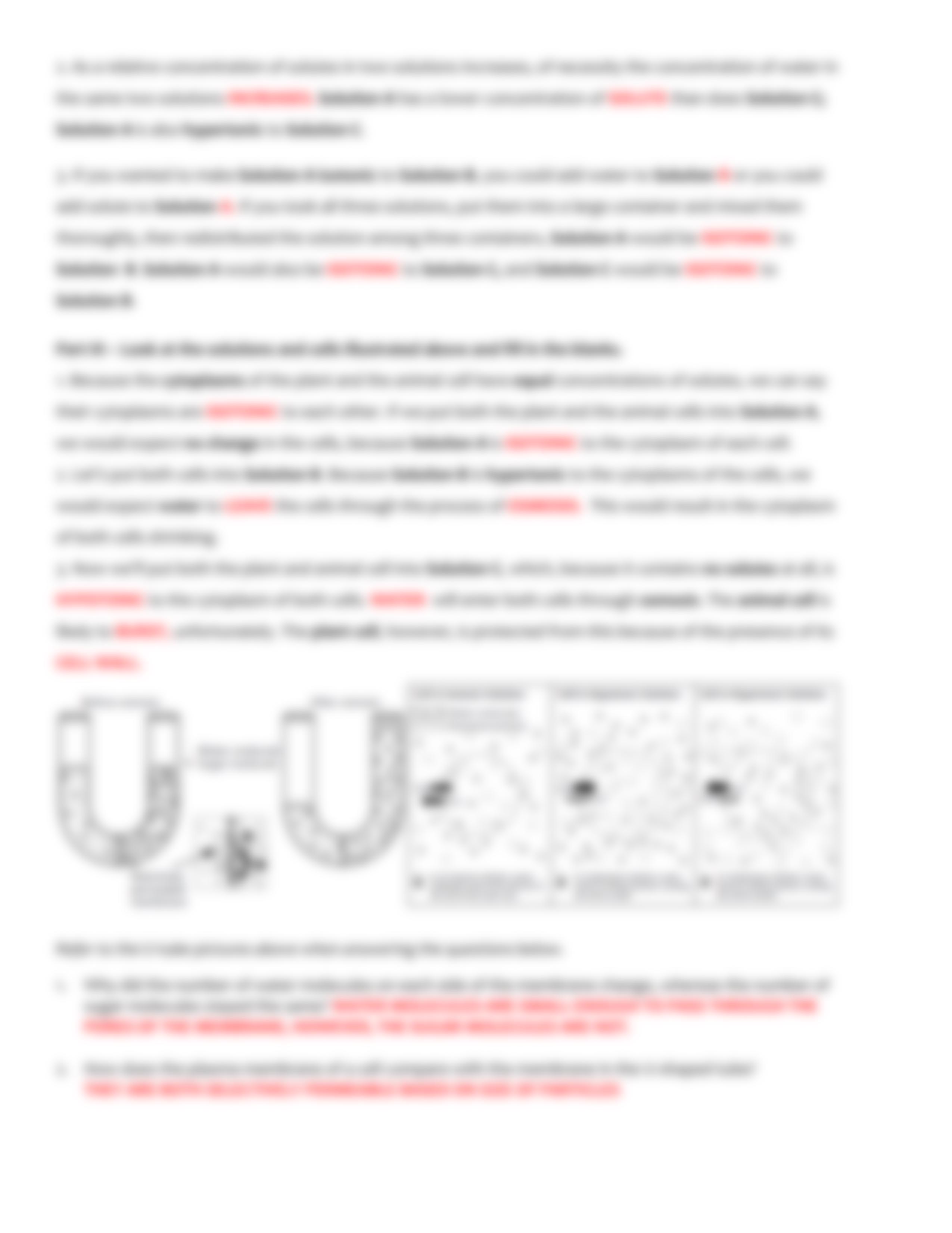 KEY cell membrane and tonicity worksheet_d1zhwcnbwrm_page4