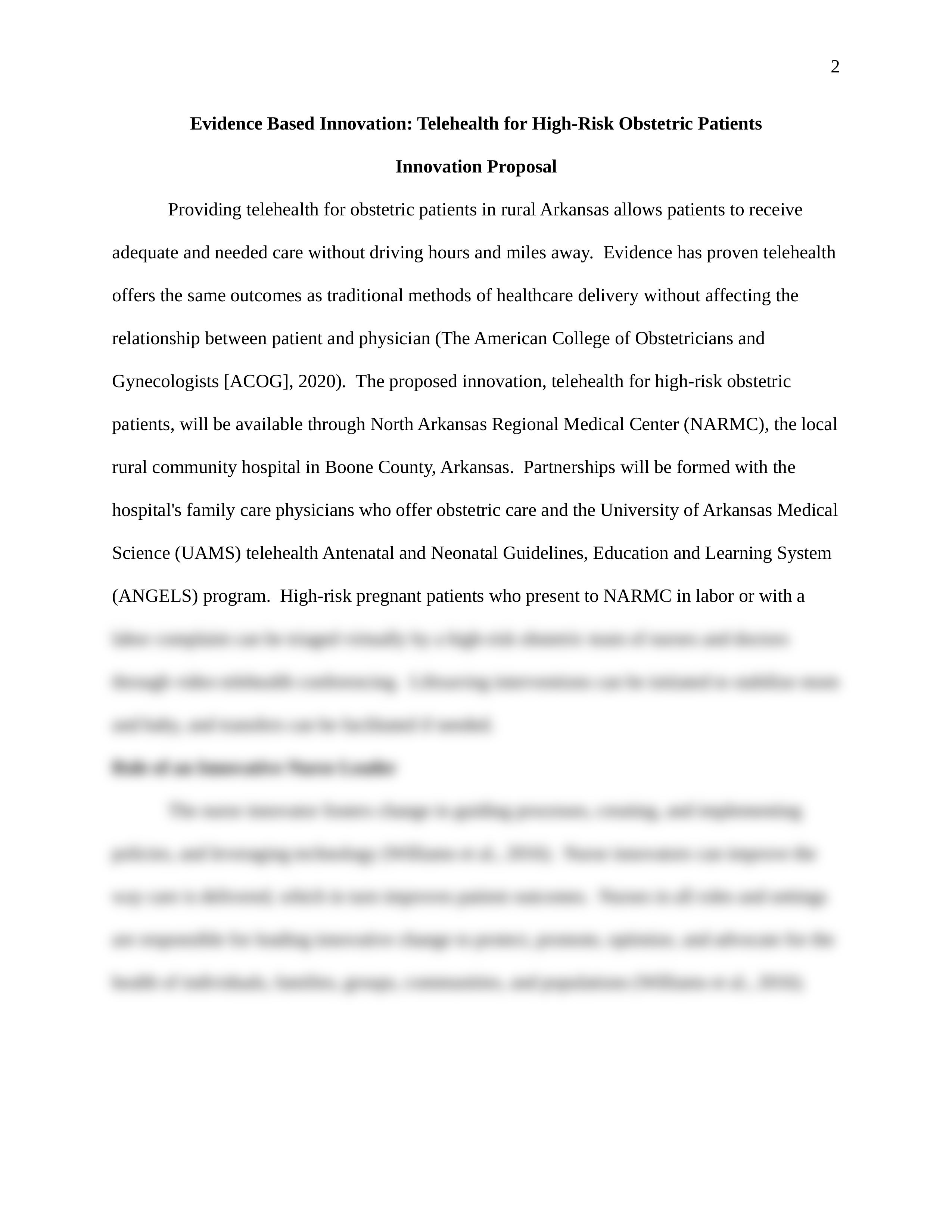 D031 Innovation Proposal - edited.docx_d25lf8c0715_page2