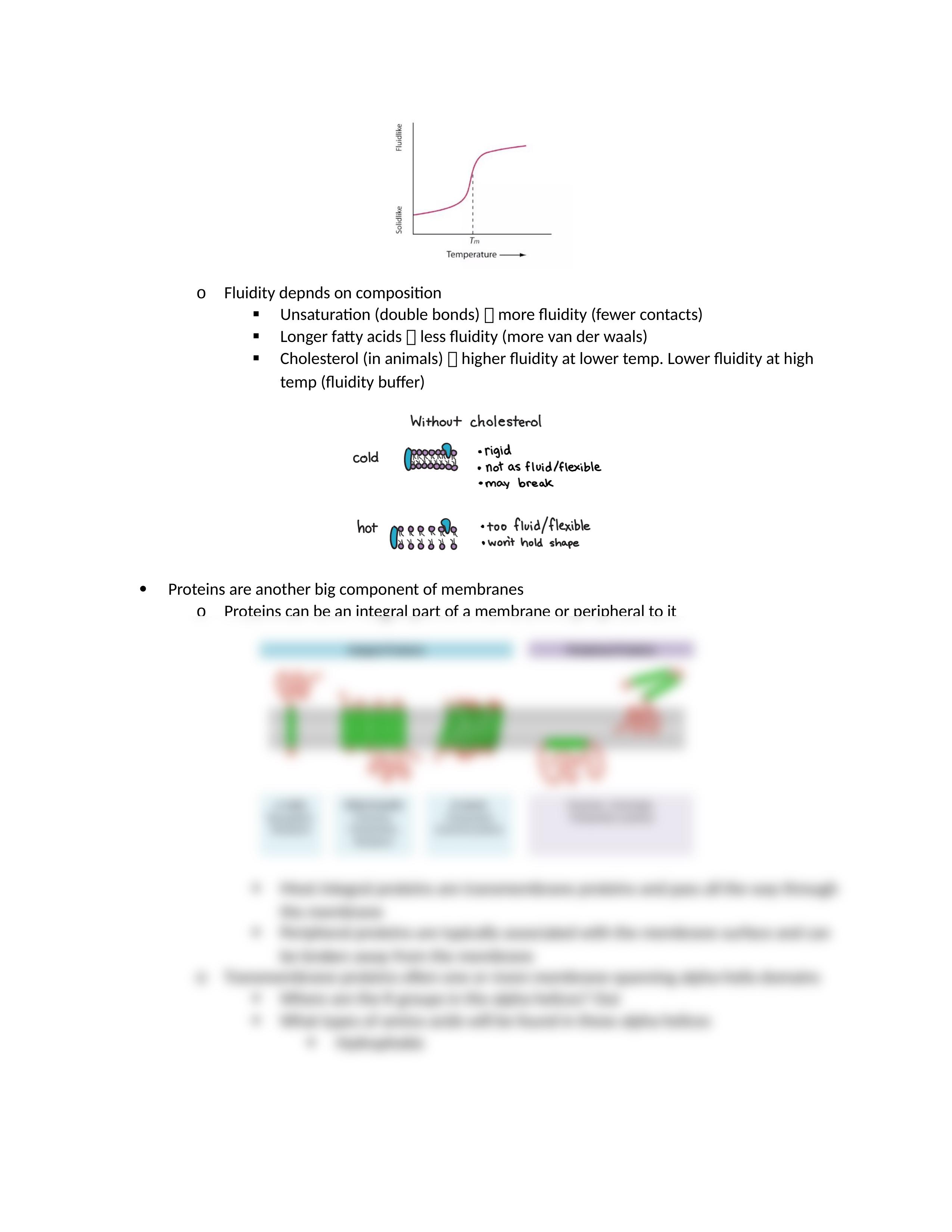 Bio 140 Exam 3.docx_d28yj6j7qnc_page2