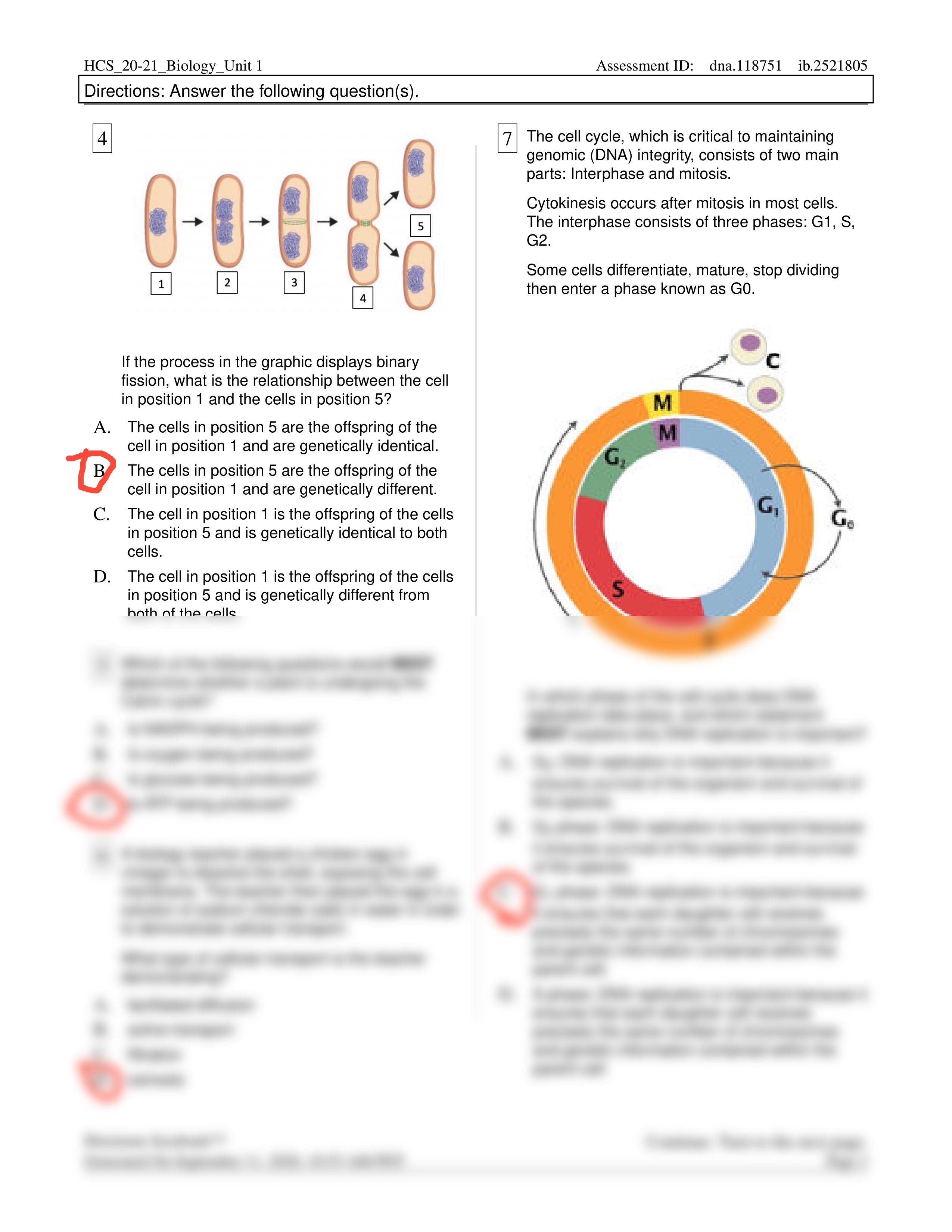 HCS_UnitCells.pdf_d2c5d9qu3wz_page2