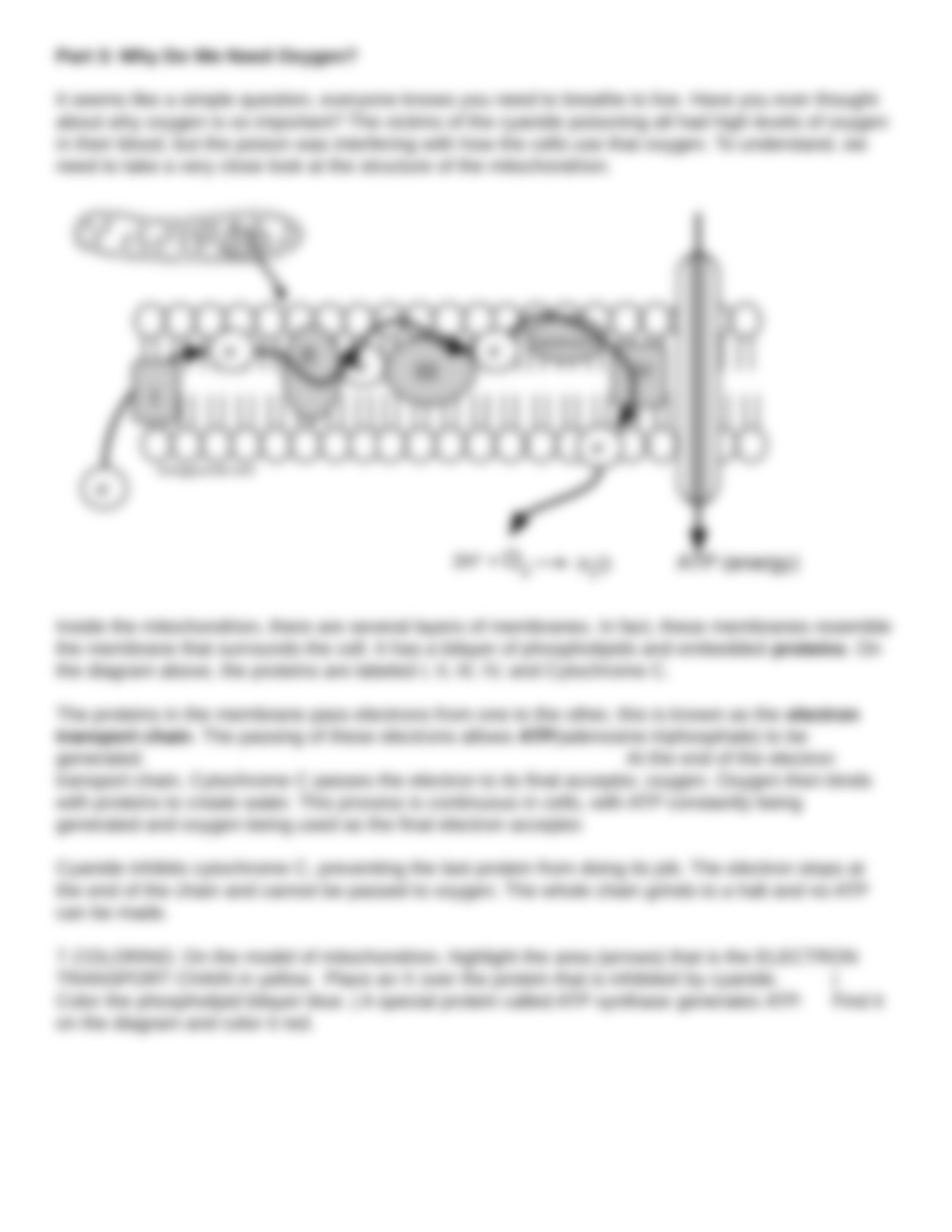 Cellular Respiration Case Study-1 (1).docx_d2hd7neyf0p_page5