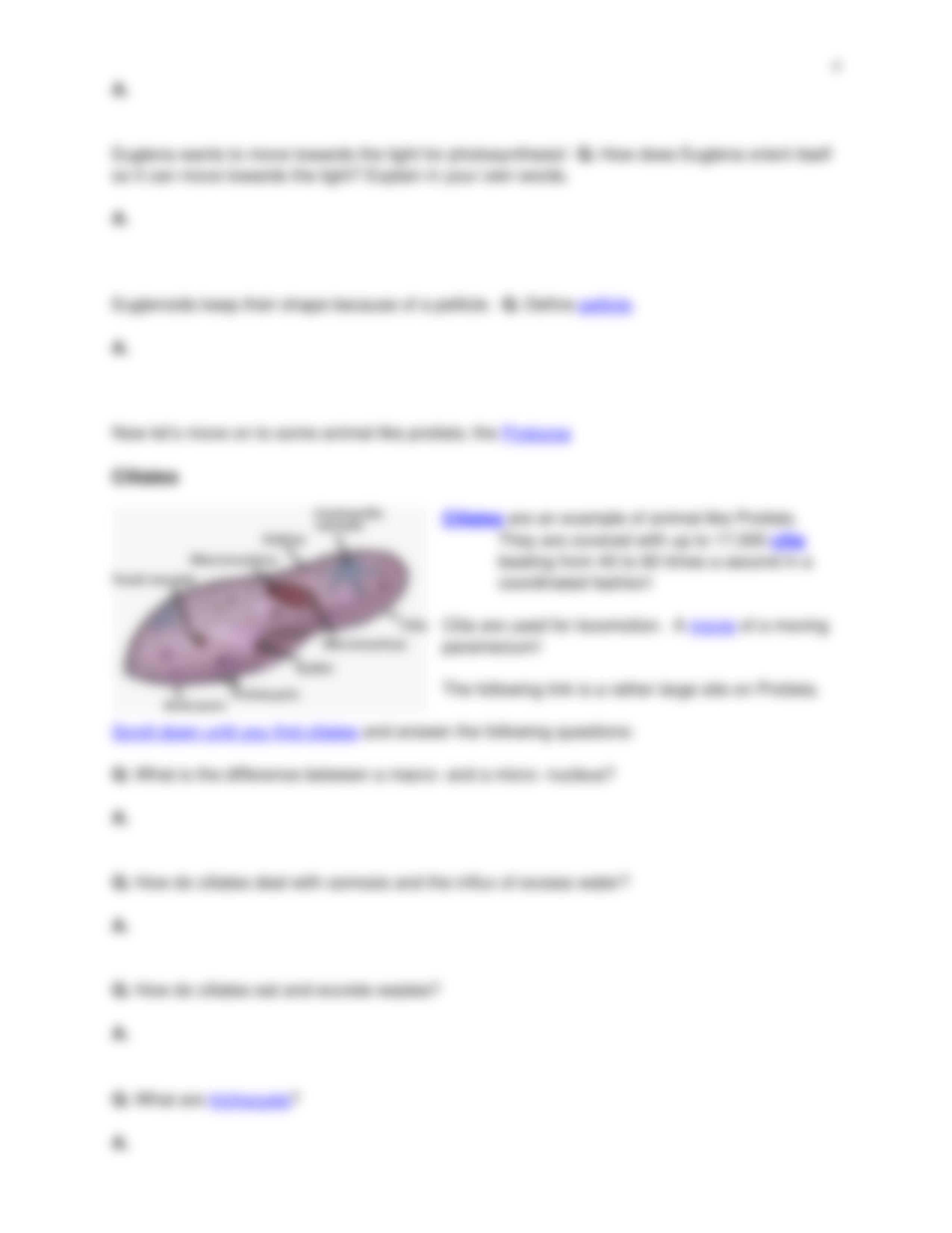 fixed protista worksheet_d2i5cnxfucv_page4