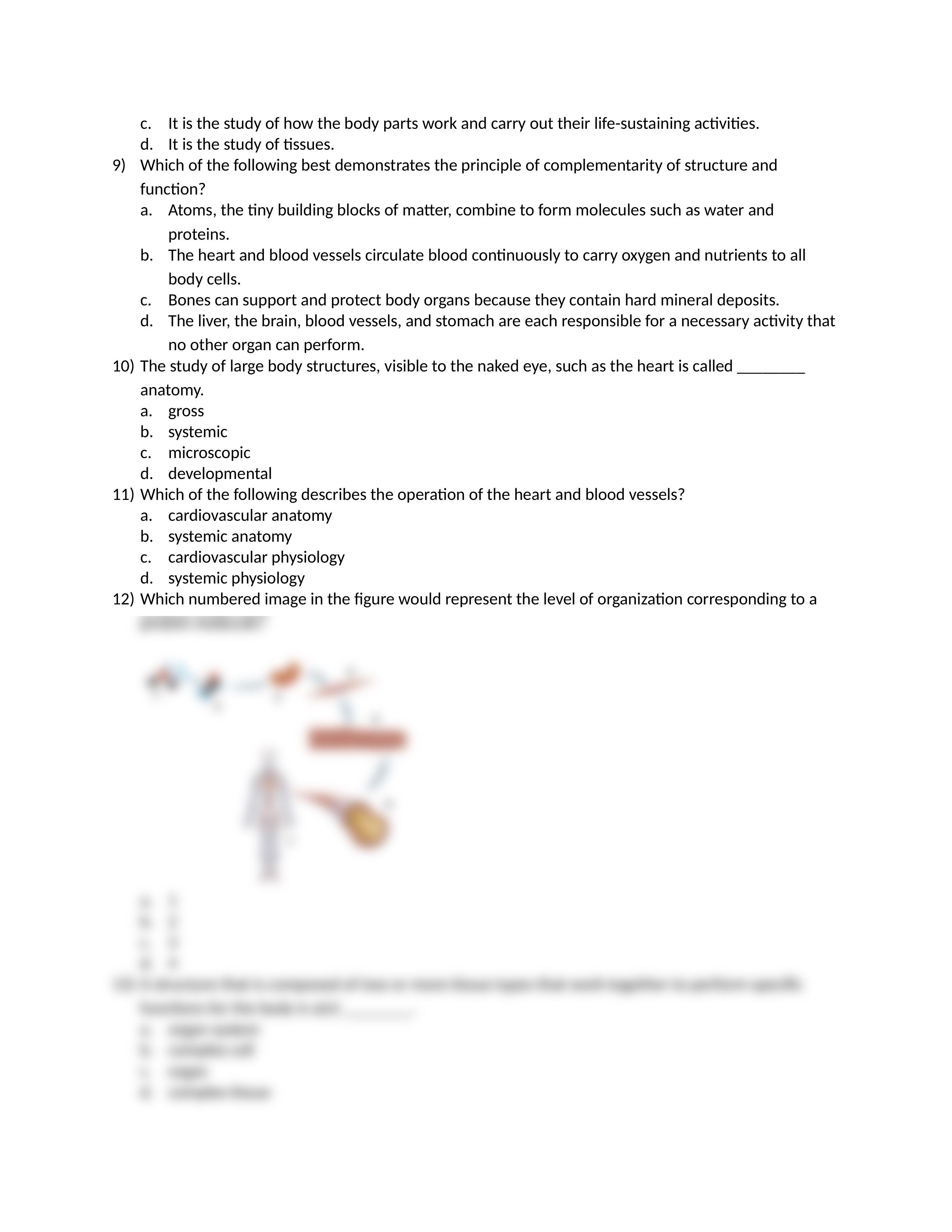 First A&P Exam.docx_d2kv054bbet_page2