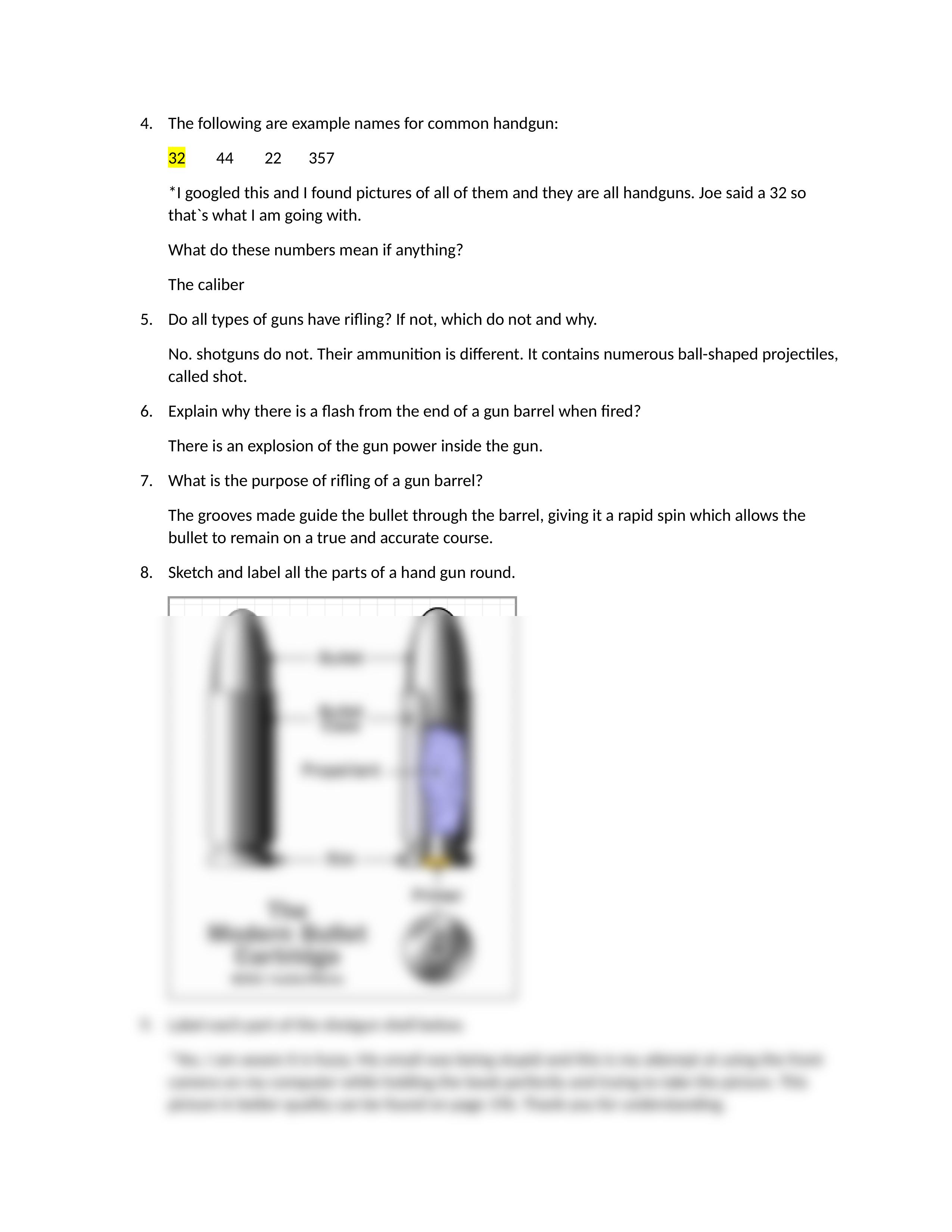 Fire Arm Questions_d2tpa7fkdsd_page2