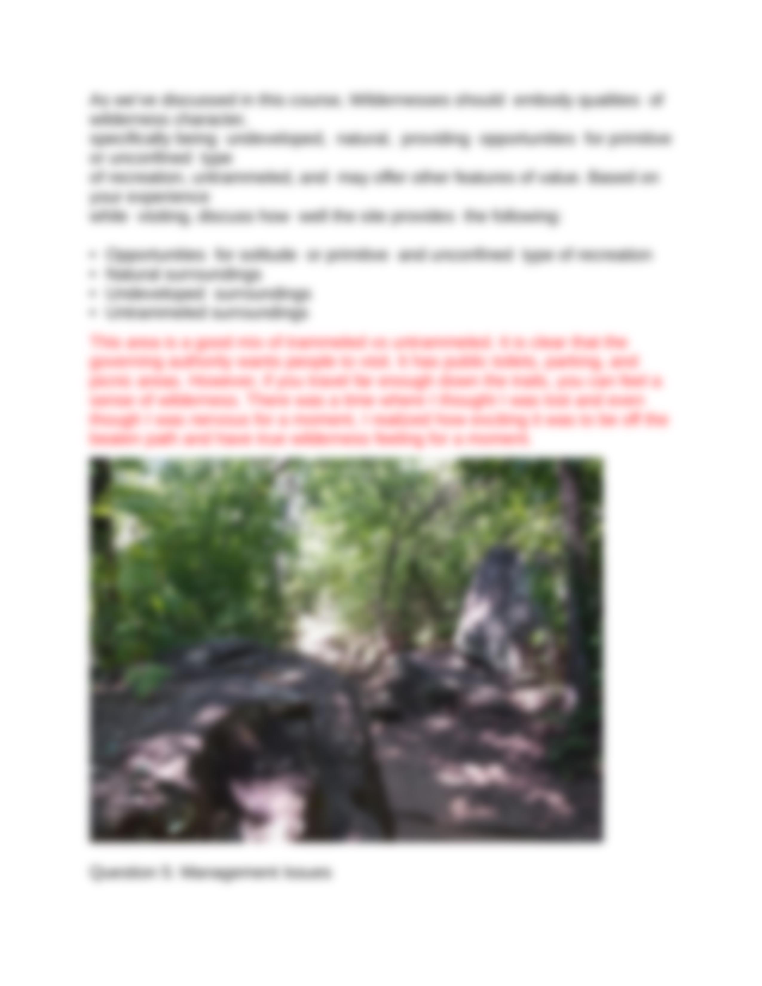 Toyd_Wildernessnearhome.docx_d2uf81afk1p_page5