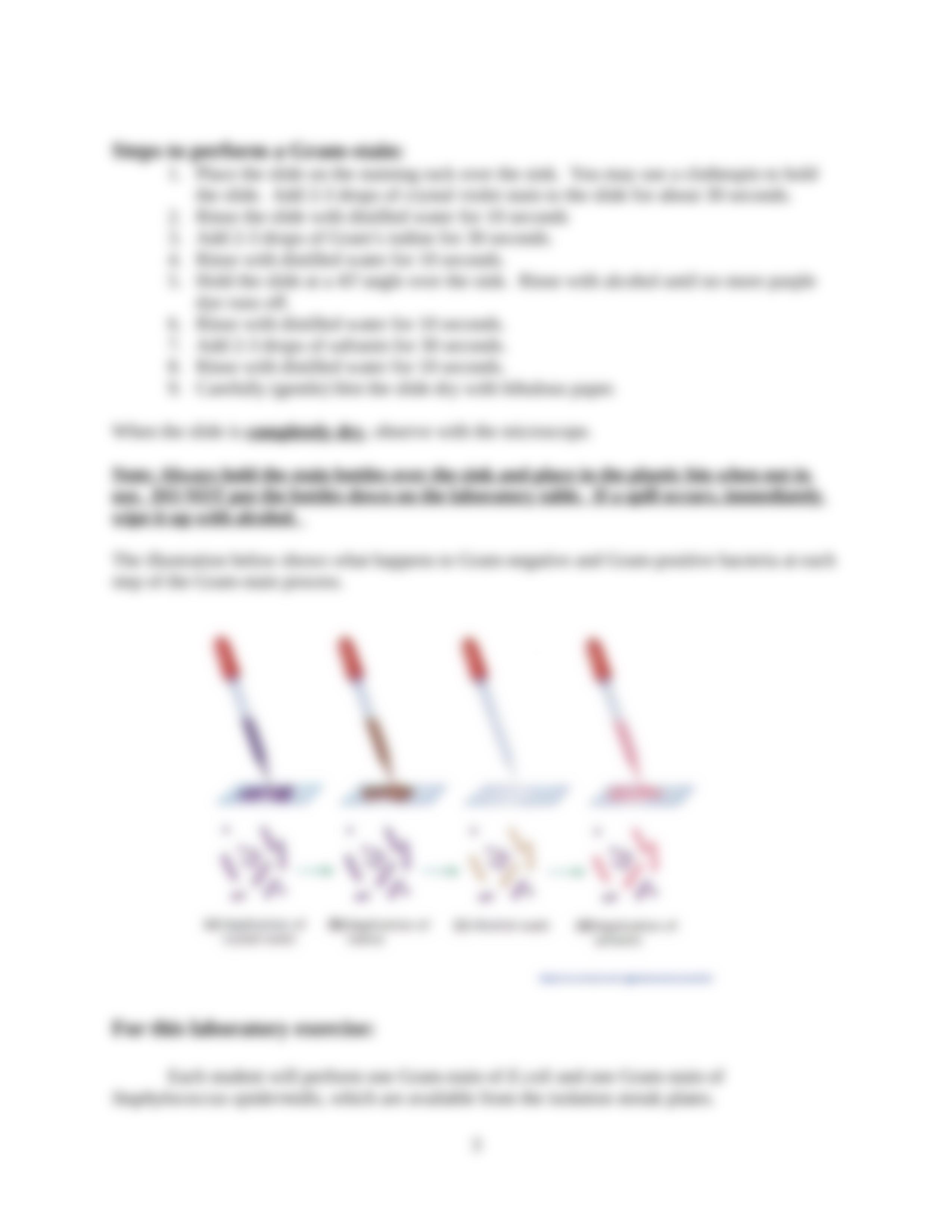 Chapter 5 Gram Stain SPRING 2017_d2vjktzjerq_page3