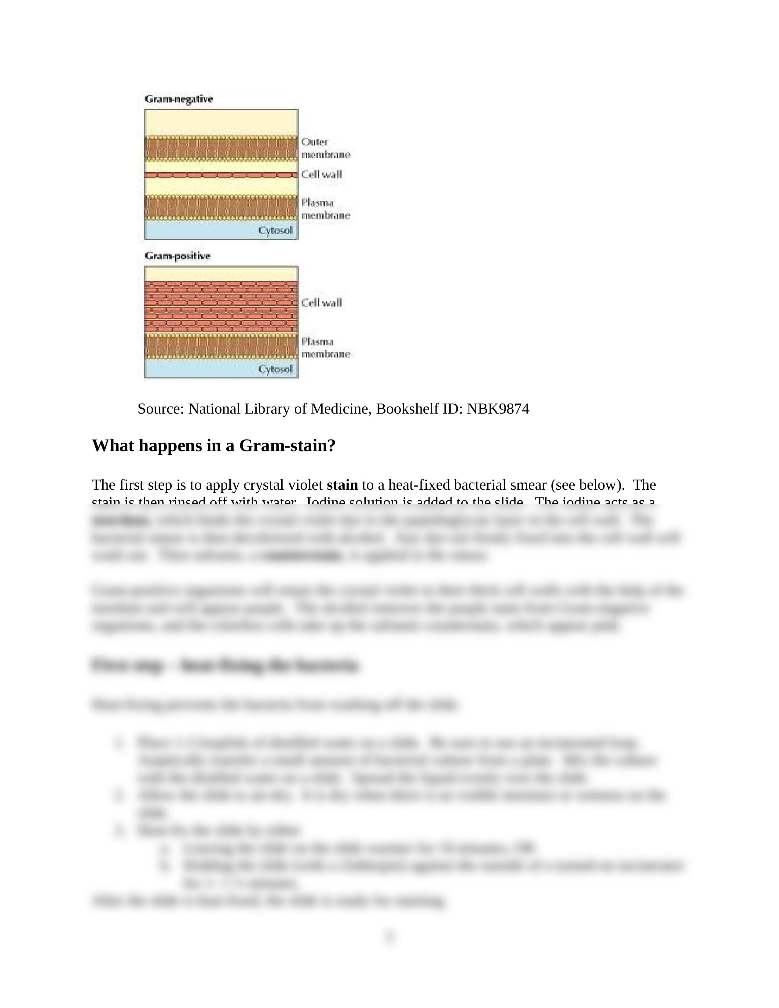 Chapter 5 Gram Stain SPRING 2017_d2vjktzjerq_page2