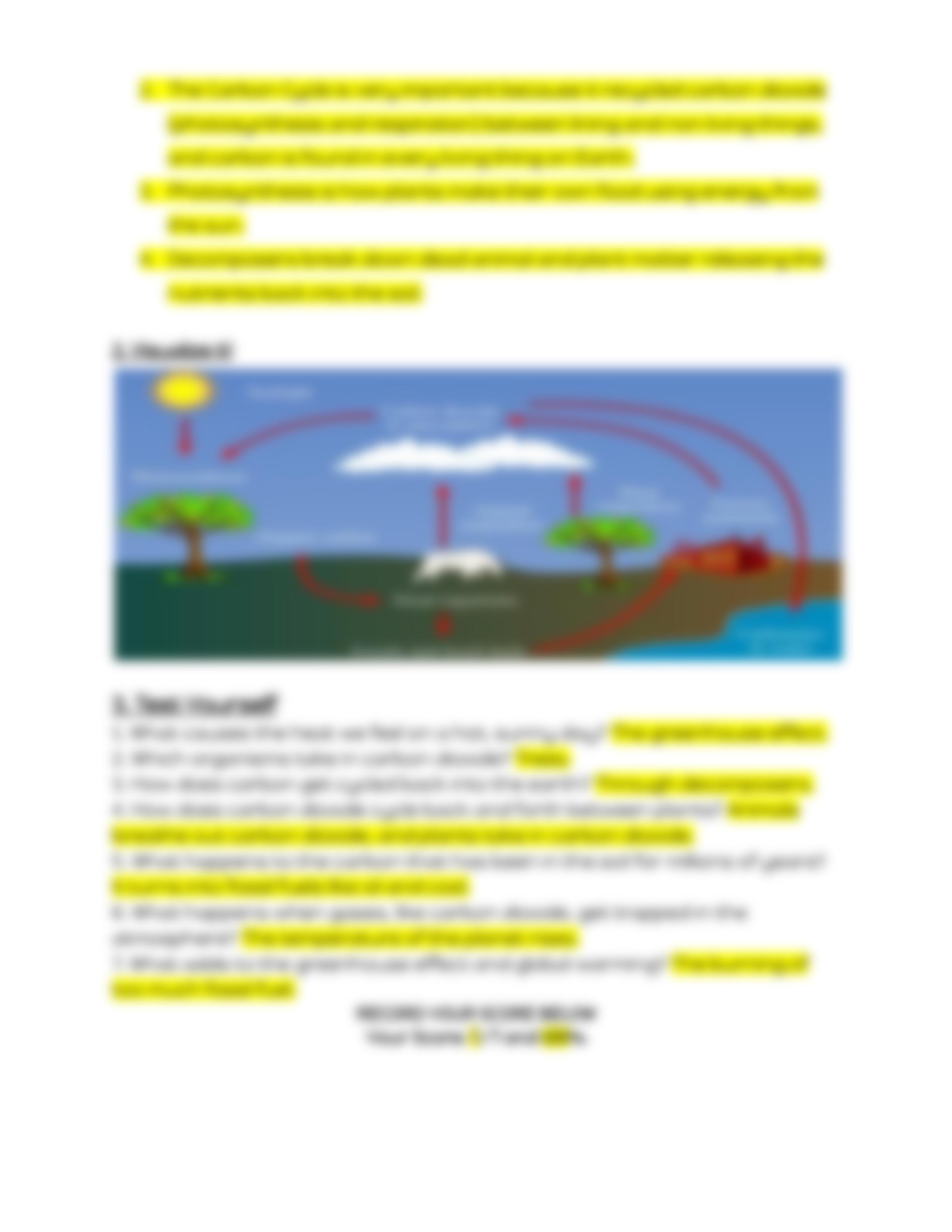 Nitrogen and Carbon Cycles Webquest.pdf_d2wi7ln4xel_page4