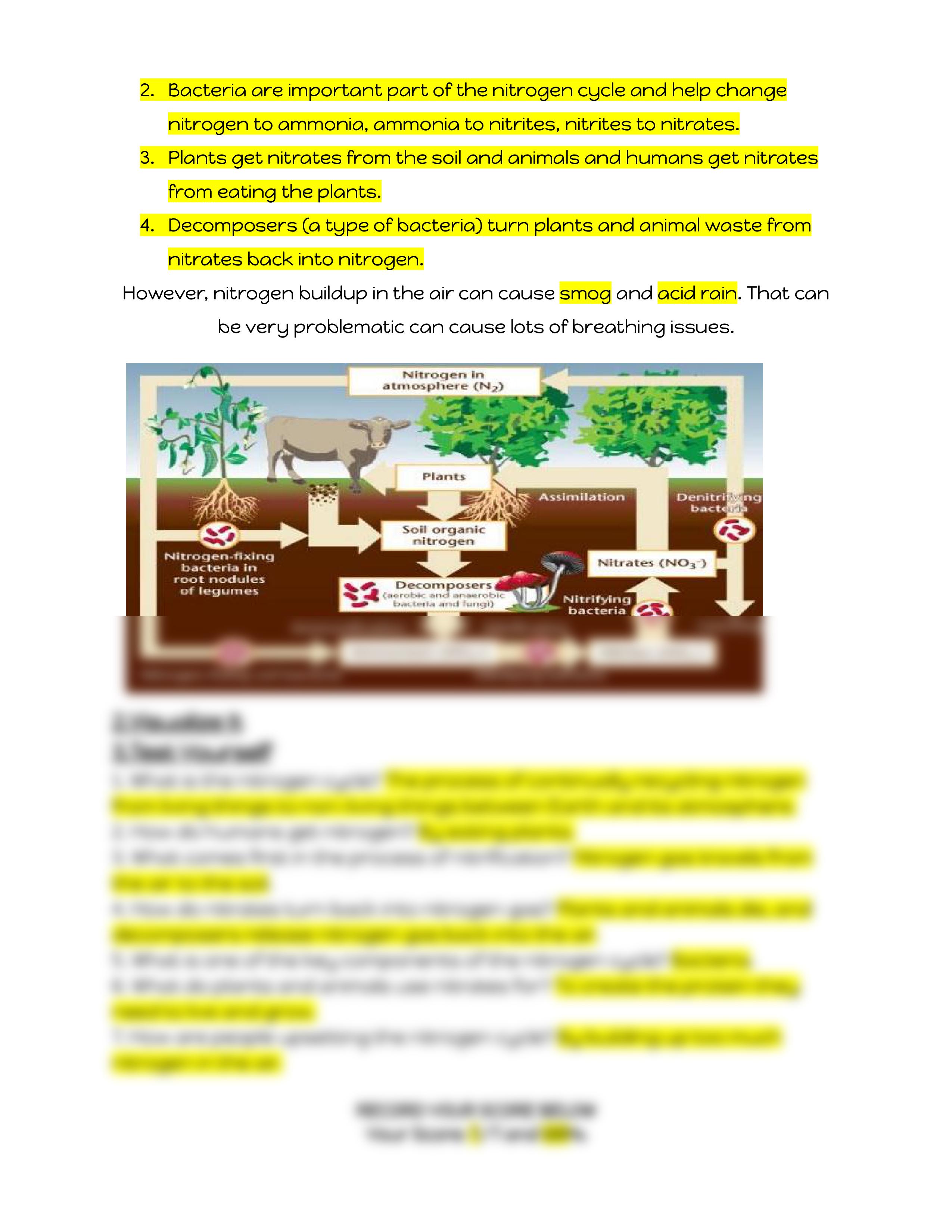 Nitrogen and Carbon Cycles Webquest.pdf_d2wi7ln4xel_page2