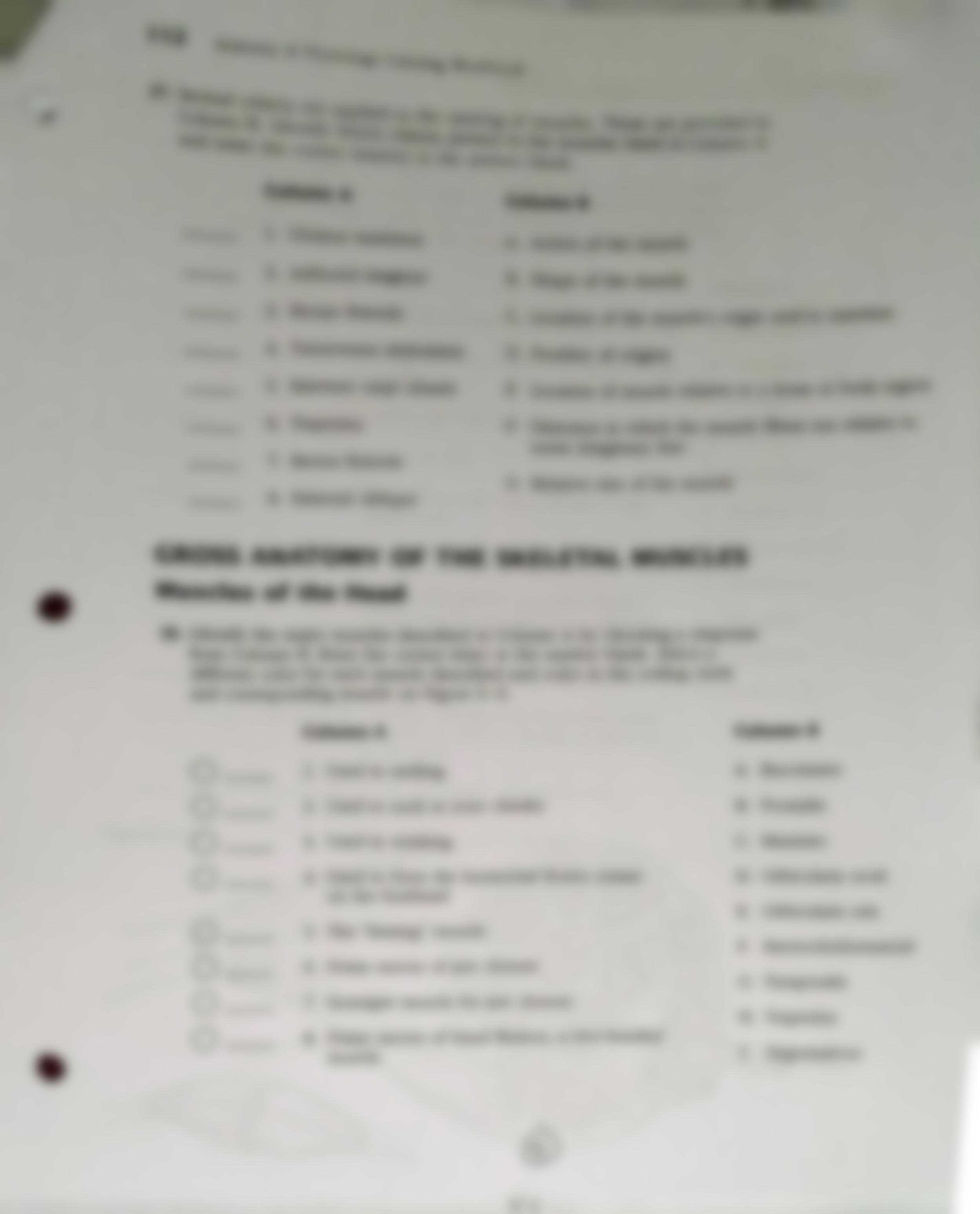 Microscopic Anatomy of Skeletal Muscle worksheet packet.pdf_d2wtpkhzc02_page5