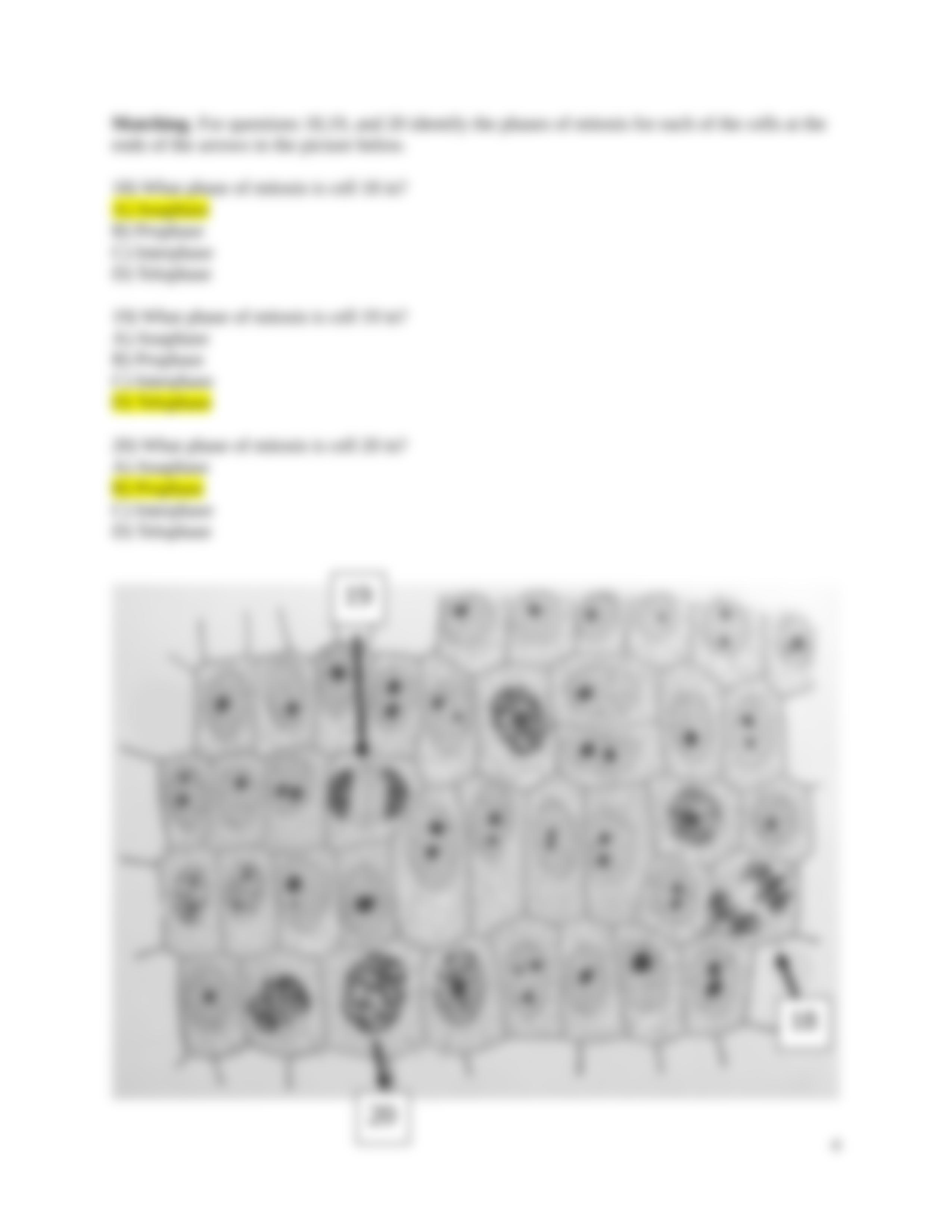 Old Biology 1 Exam 3_d2wvp5otb3m_page4