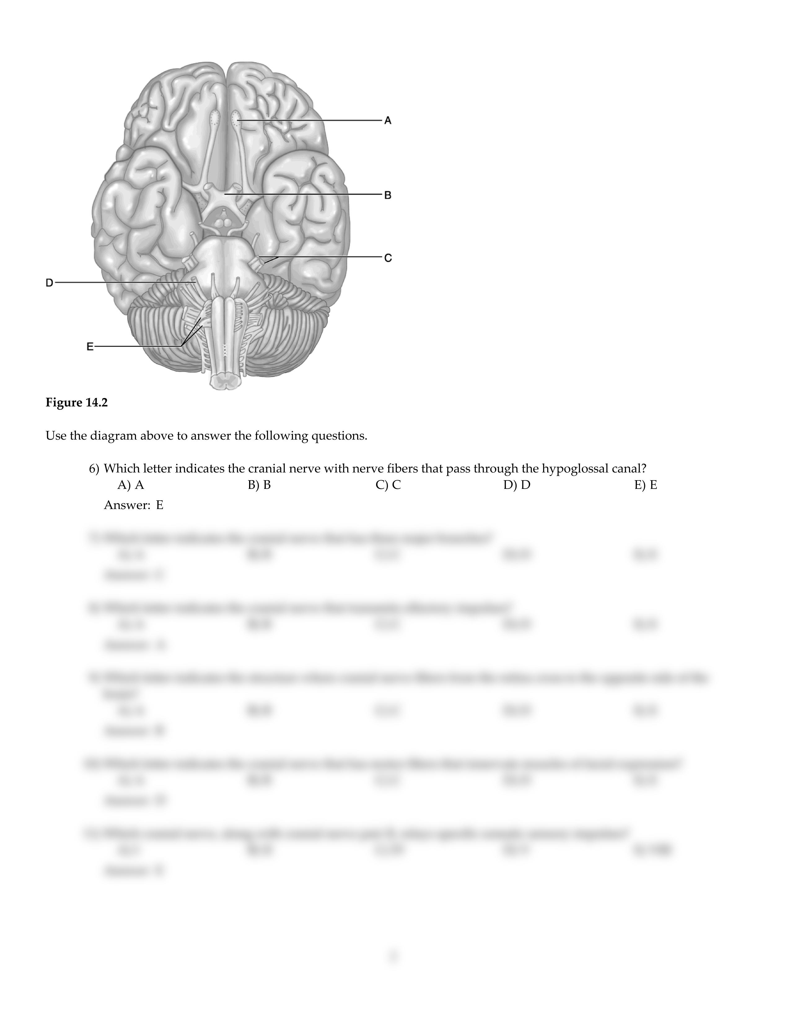 CH14.pdf_d2zstmz2jim_page2