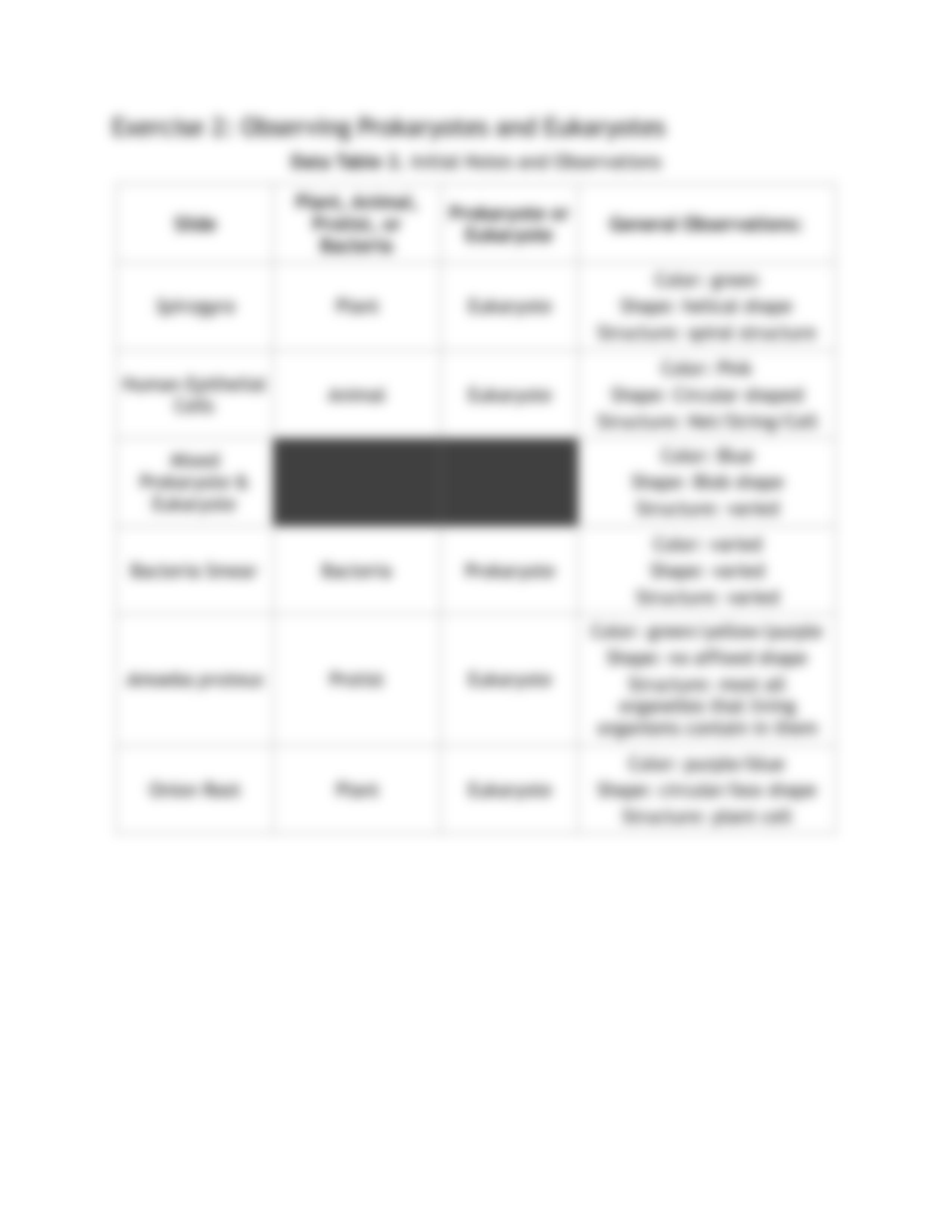 Cells- Prokaryotic and Eukaryotic Worksheet PDF.pdf_d32z5t90a6h_page3