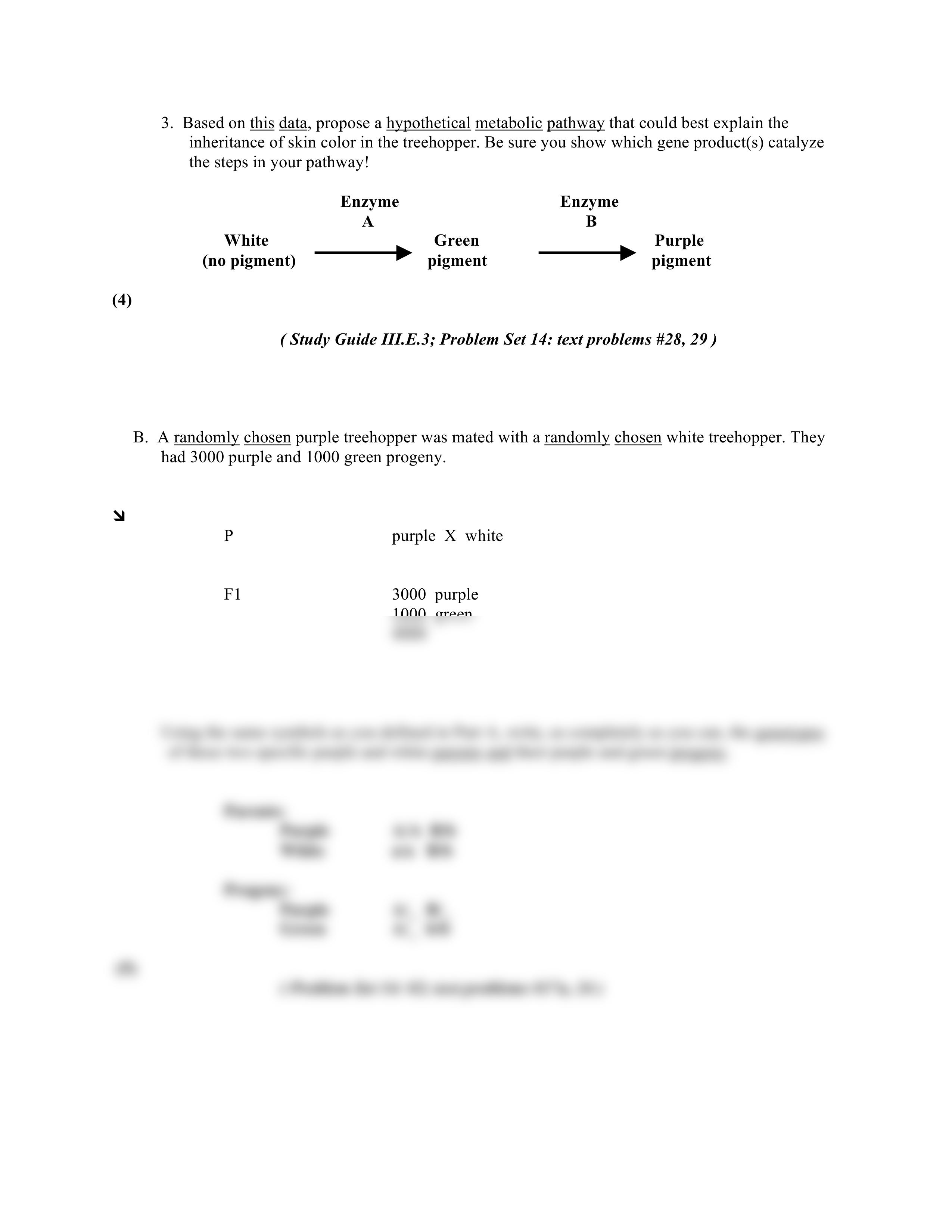 exam 3 fall 2009_d32zvhnadgo_page2