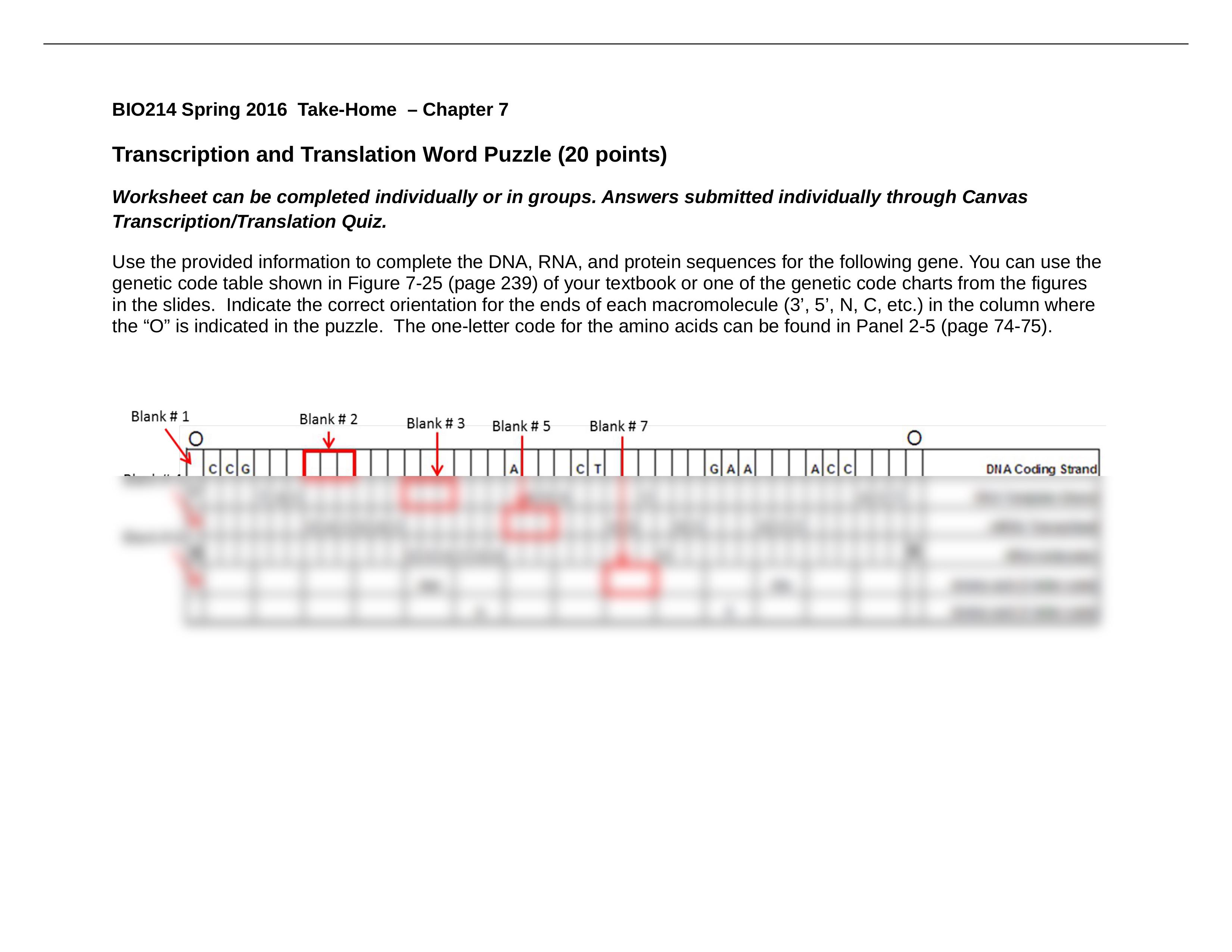 BIO214 Sp16 Chapter 7 Transcription & Translation Word Puzzle_d34dwq4a454_page1