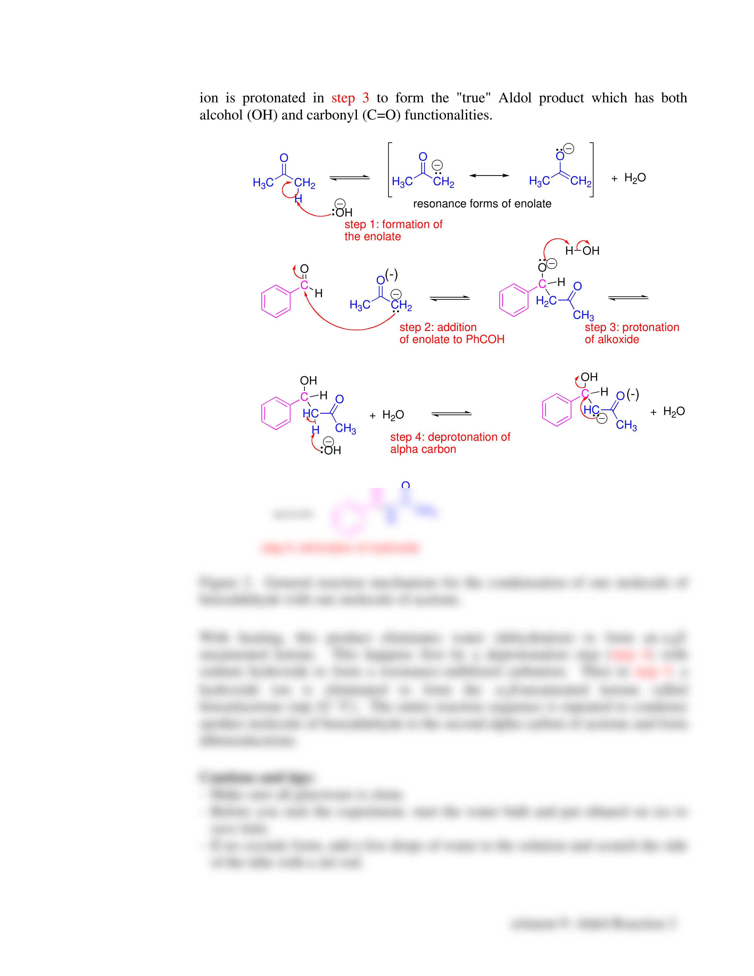 CHEM 322L - Exp 09 - Aldol Condensation Lab_d385at7q7iv_page2