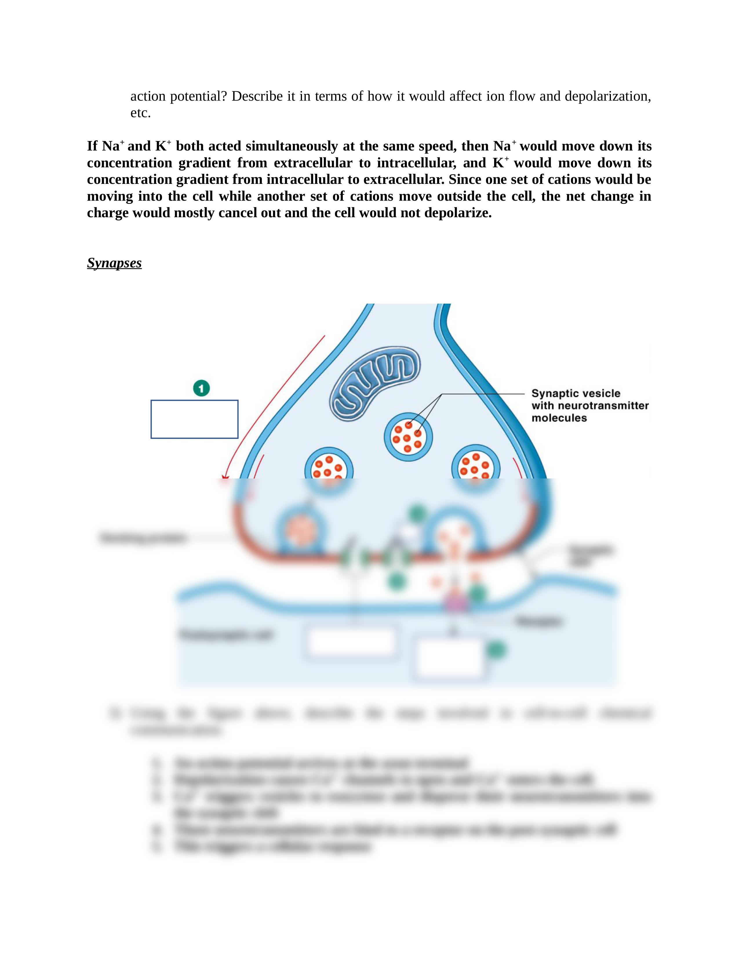 BIO 360 - exam 2 practice questions - answer key.docx_d38f6kq8t66_page2