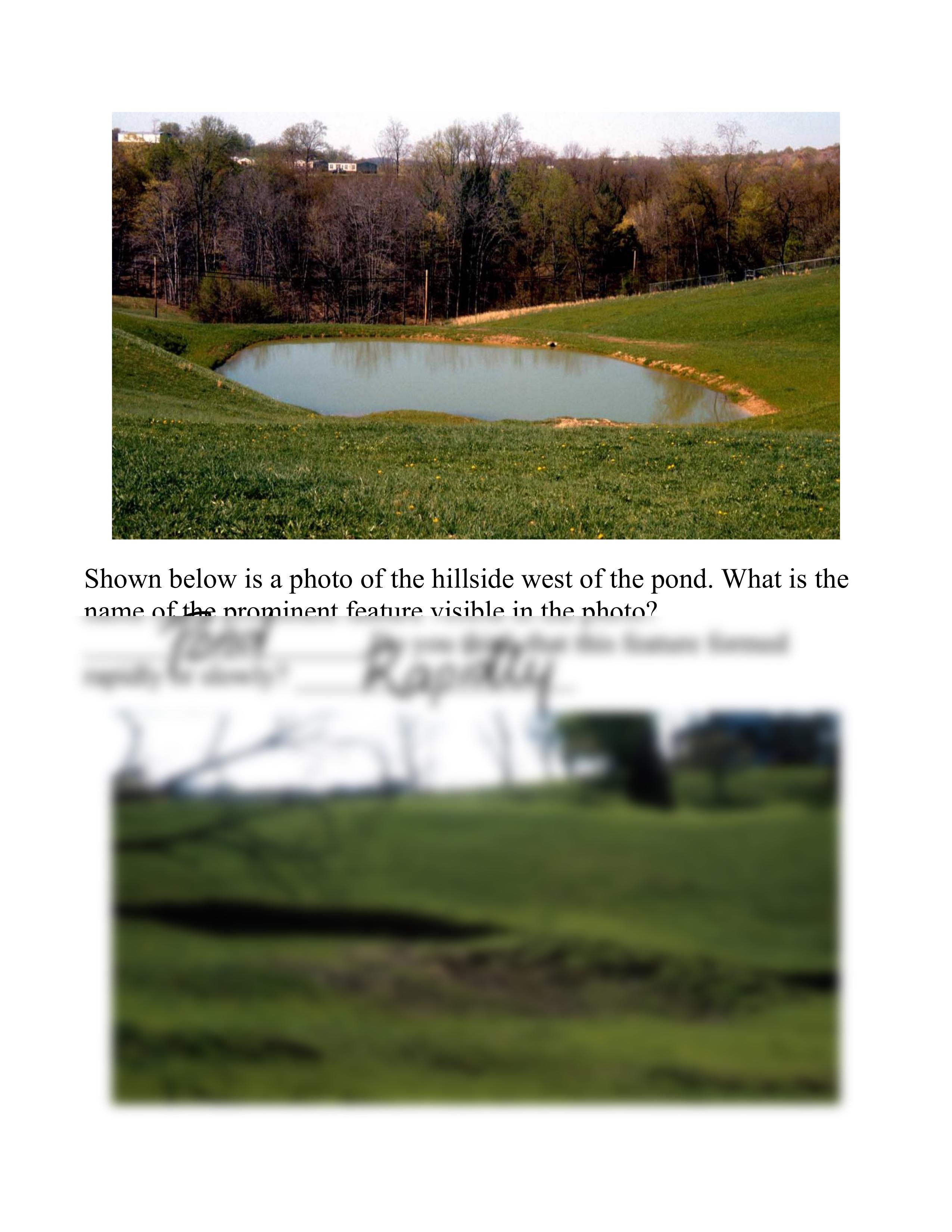 CASE+STUDY+2+THE+DUCK+POND.pdf_d395z4b4g25_page2